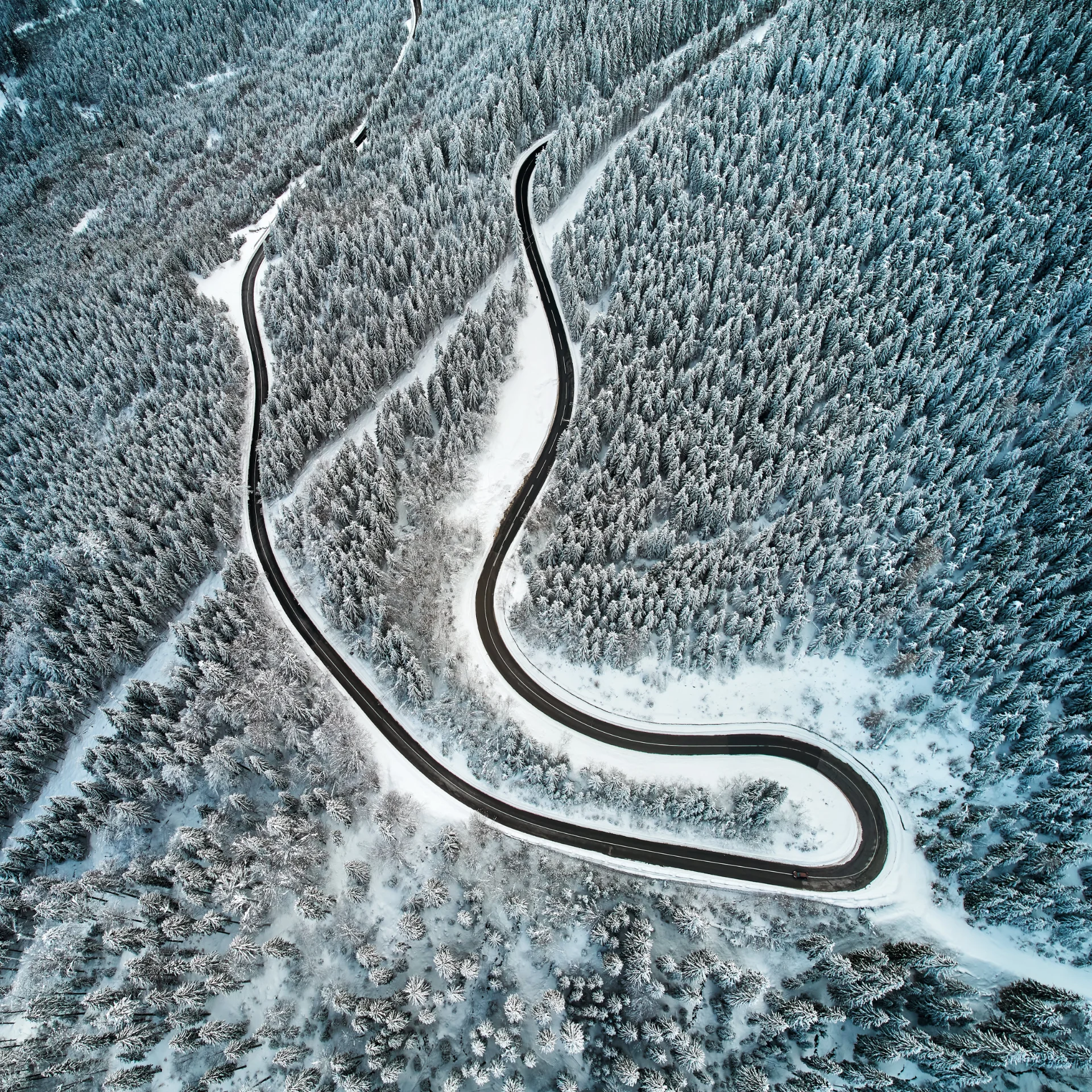 Valea Jiețului - Muntii Parâng - Destinații România 100