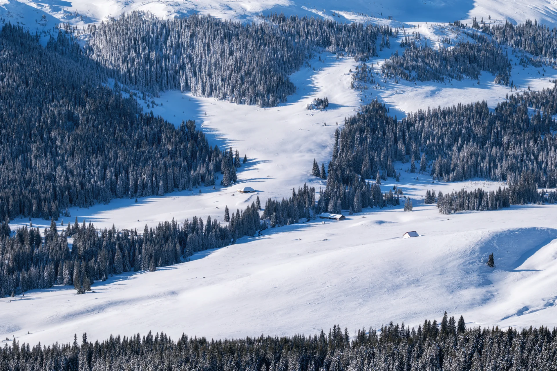 Valea Latoriței Iarna - Muntii Parâng - Destinații România 105