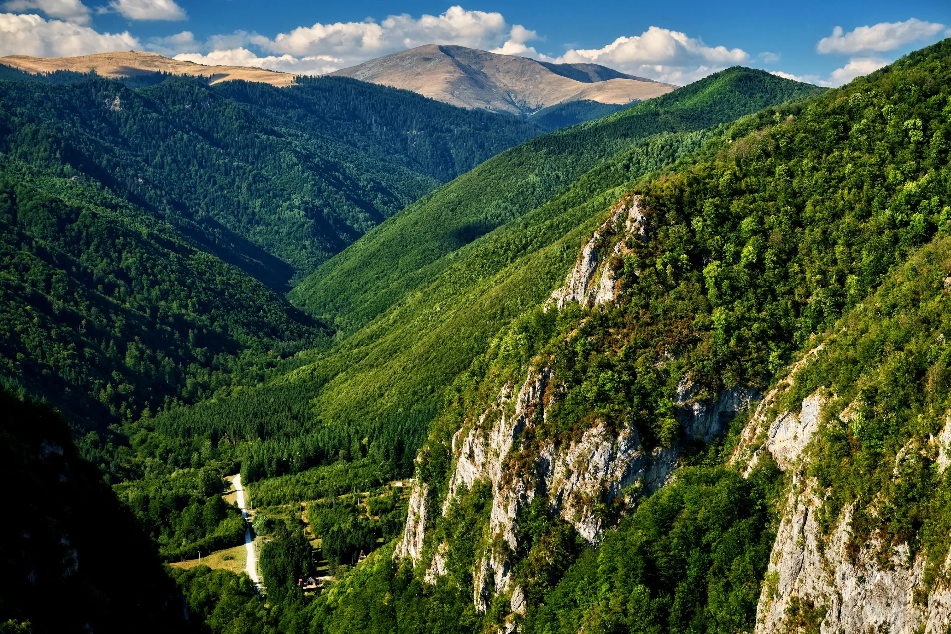 Valea Oltețului - Muntii Parâng - Destinații România 043