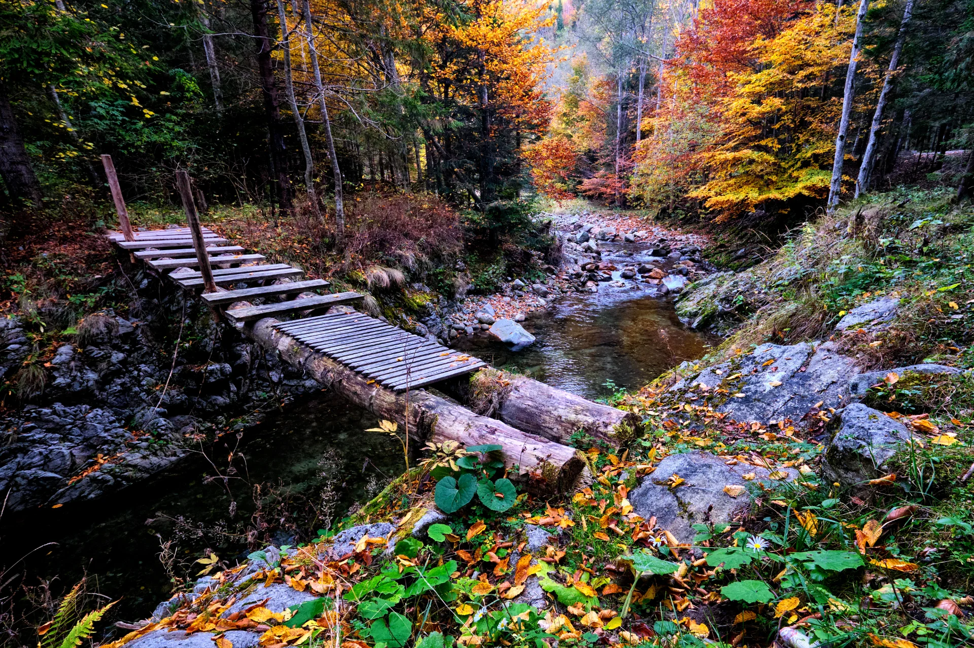 Valea Oltețului - Muntii Parâng - Destinații România 048