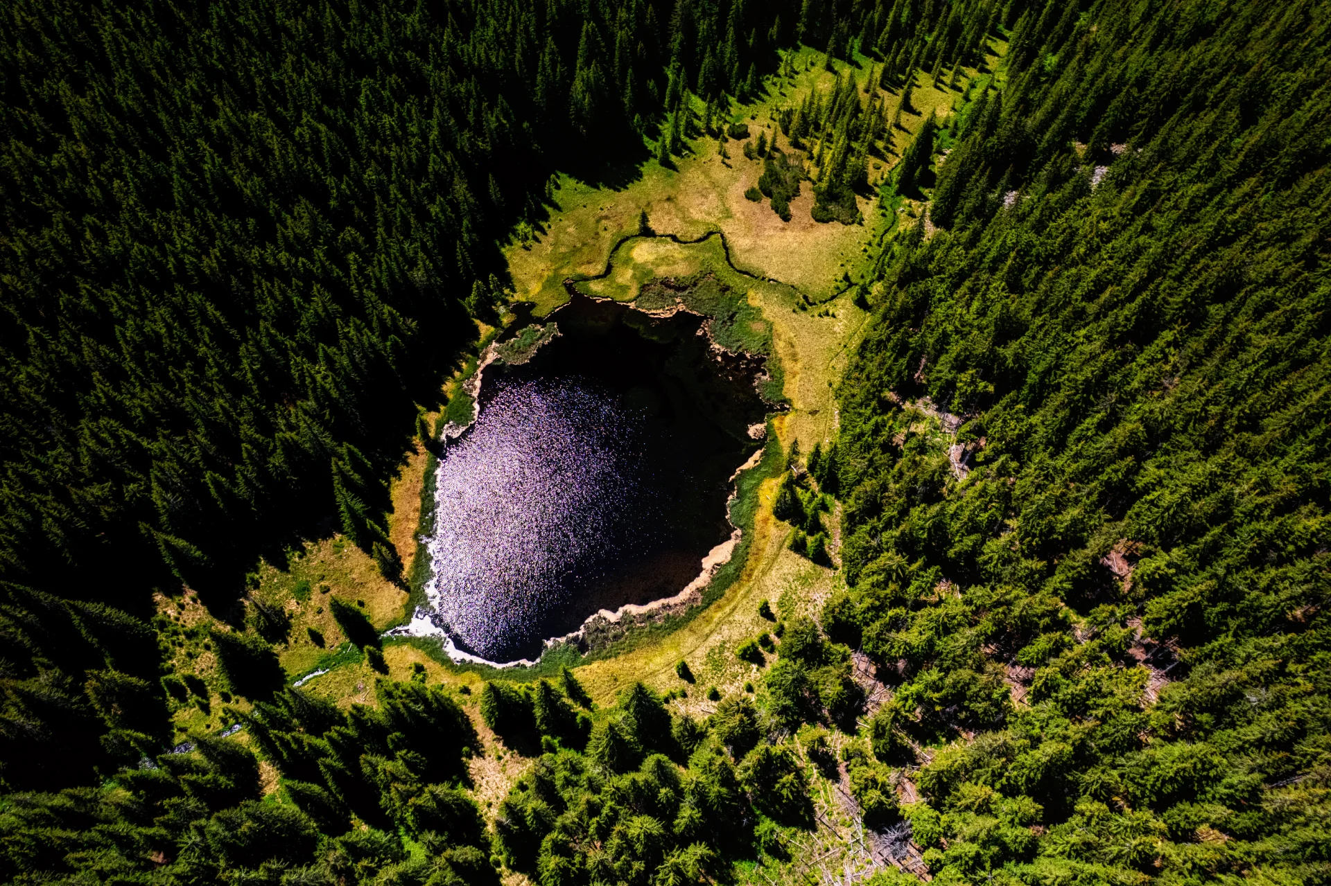 9 Experiente si locuri pe Transalpina - Iezerul Latoritei