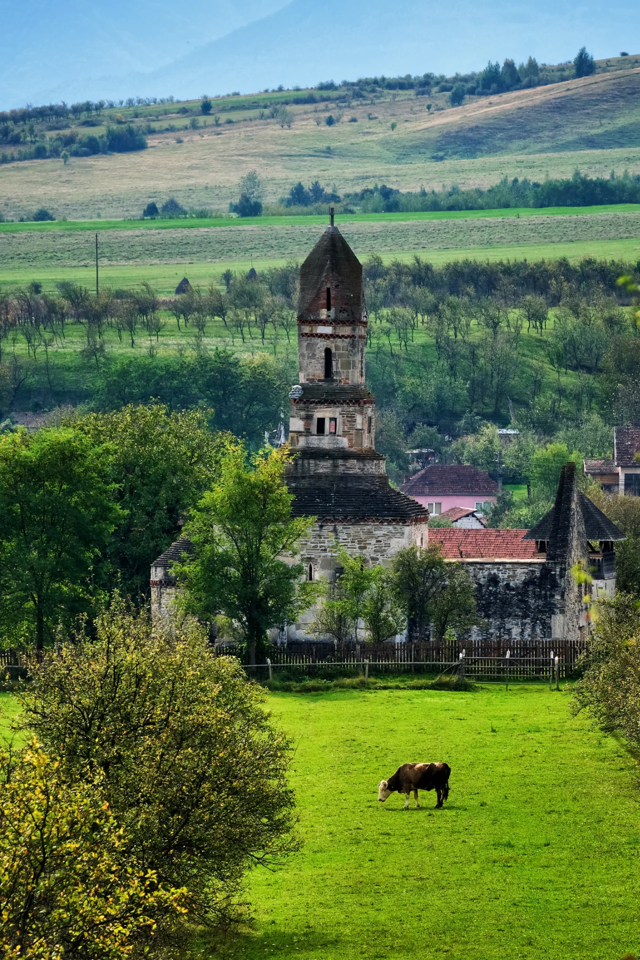 Biserica de Piatră Densuș - Tara Hategului - Destinatii Romania 18