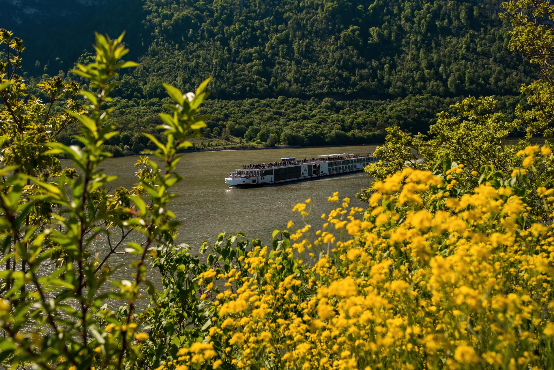Vas de Croazieră pe Dunăre - Parcul Natural Portile de Fier - Destinatii Romania 43