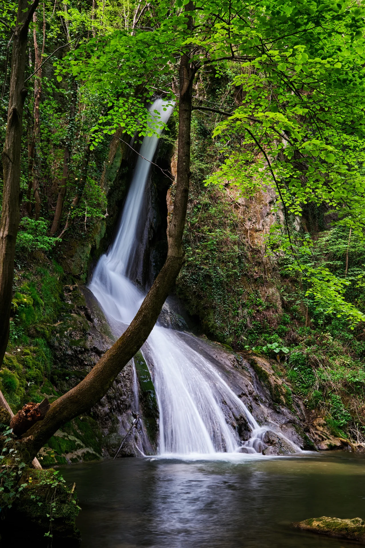 Cascada Burăul Mare - Parcul Natural Portile de Fier - Destinatii Romania 70