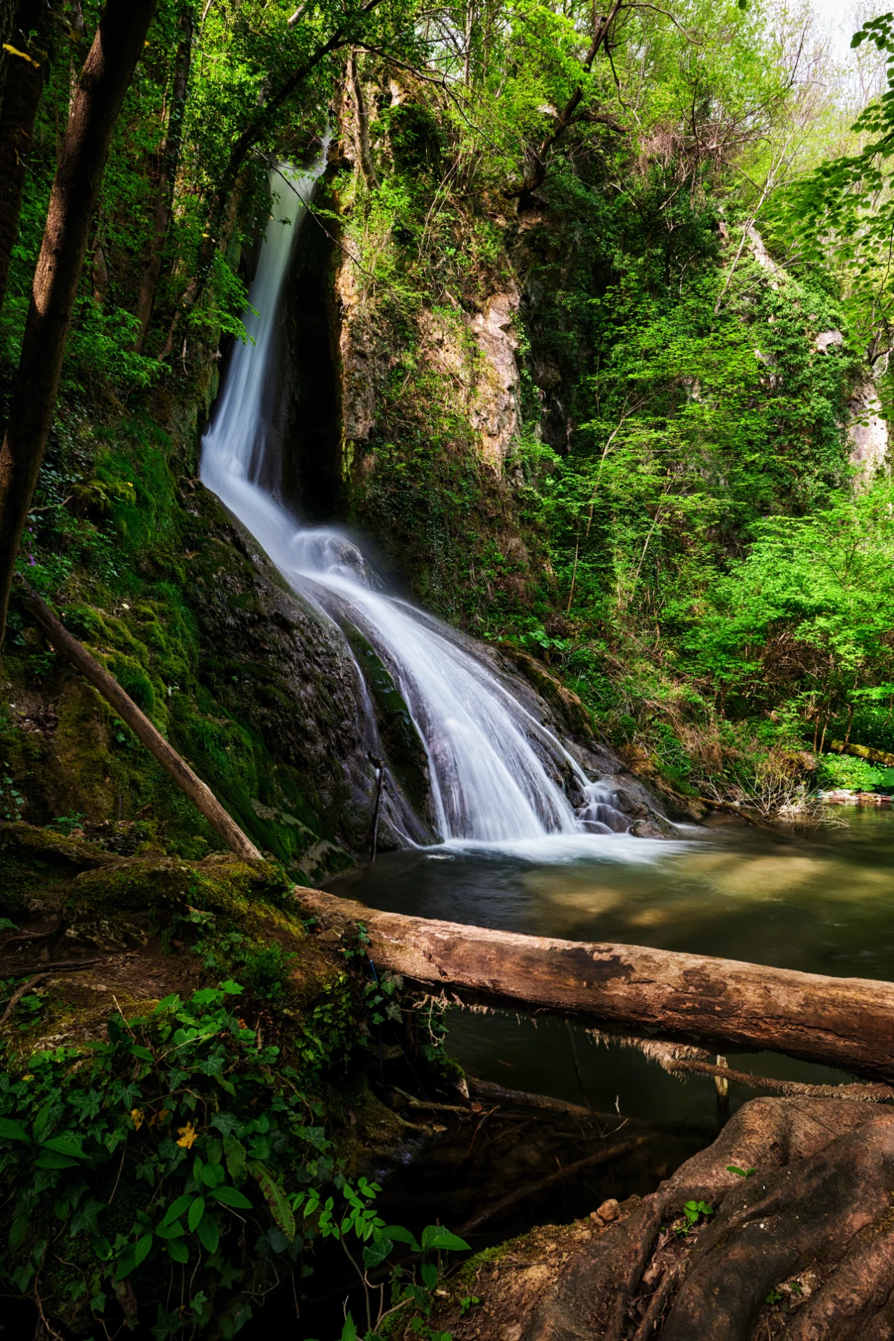 Cascada Burăul Mare - Parcul Natural Portile de Fier - Destinatii Romania 71