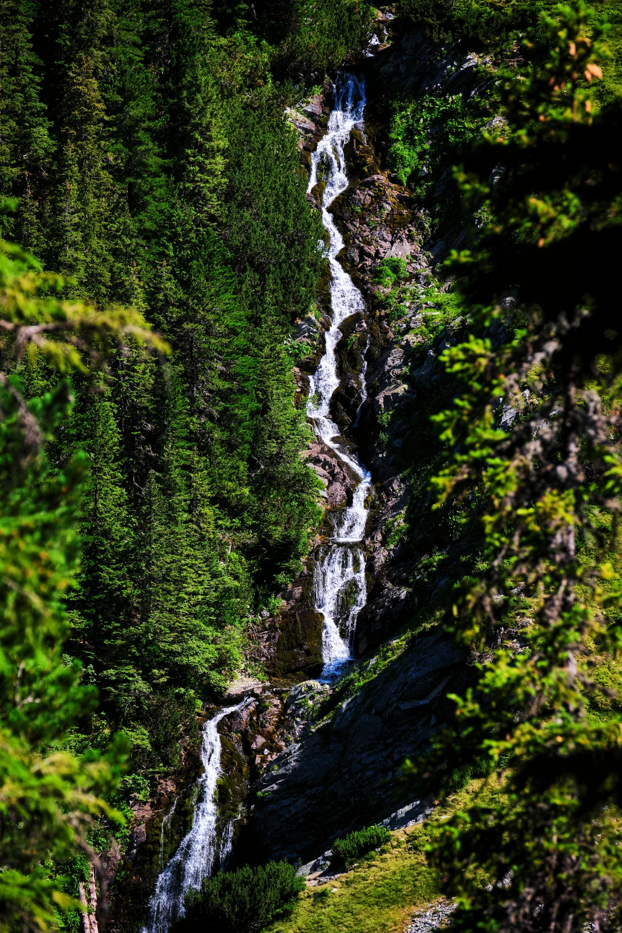 Cascada Ciomfu - Parcul National Retezat - Destinatii Romania 85