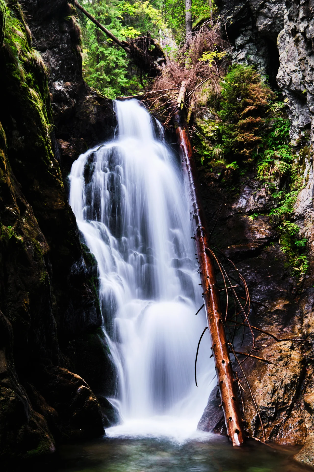 Cascada Lazăru - Parcul National Retezat - Destinatii Romania 26 (1)