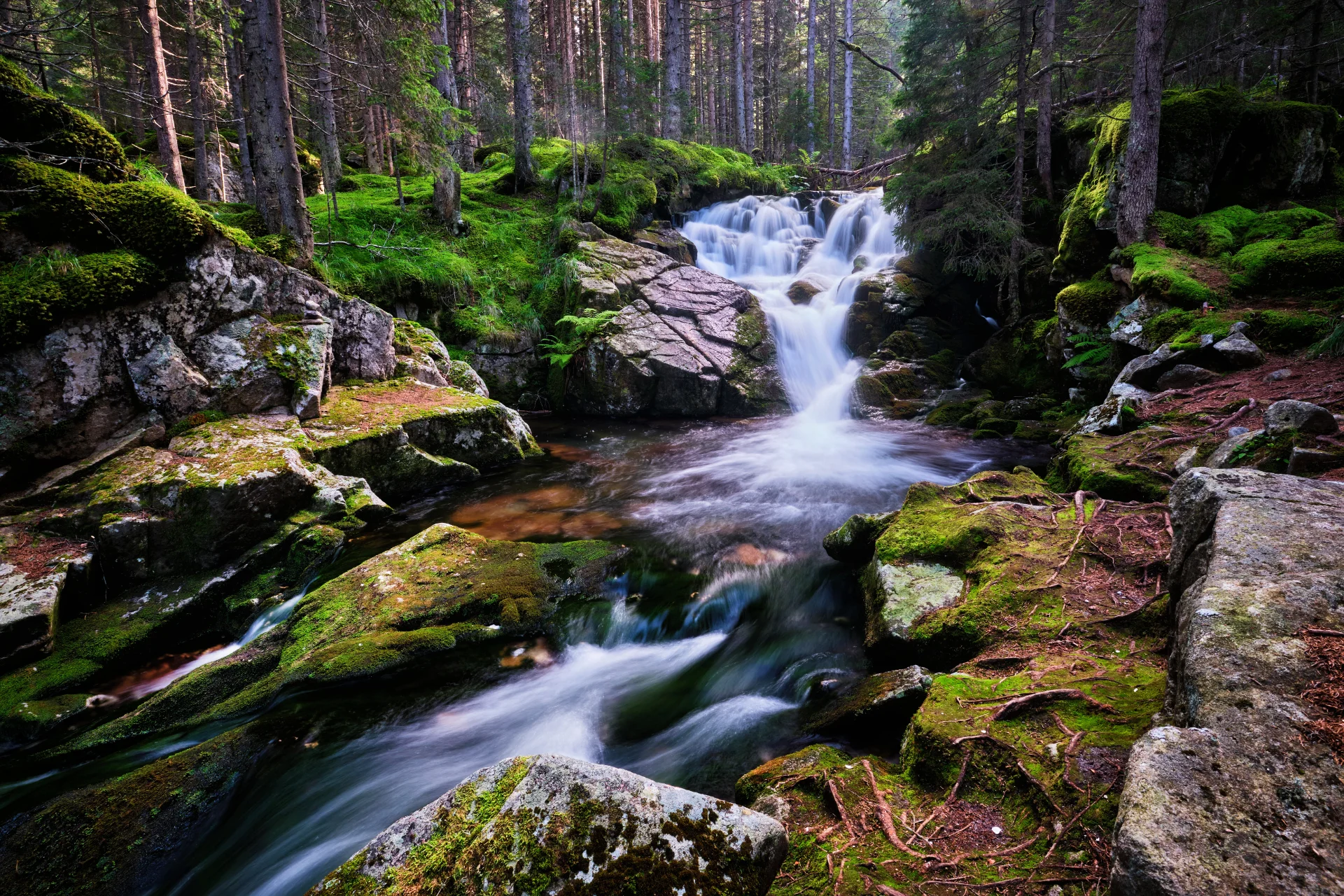Cascada Maria Magdalena - Parcul National Retezat - Destinatii Romania 22