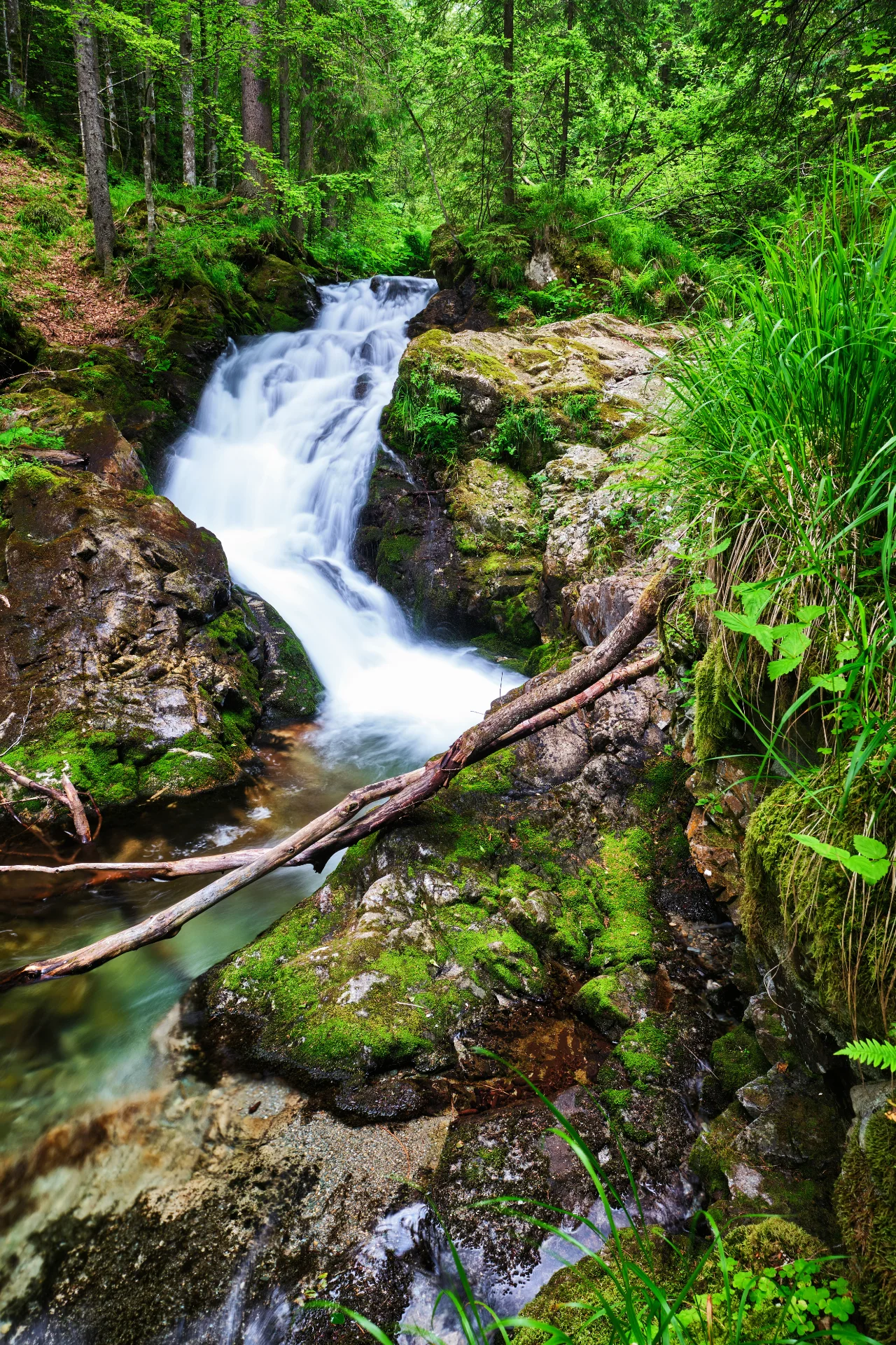 Cascadă pe Valea Buta - Parcul National Retezat - Destinatii Romania 17