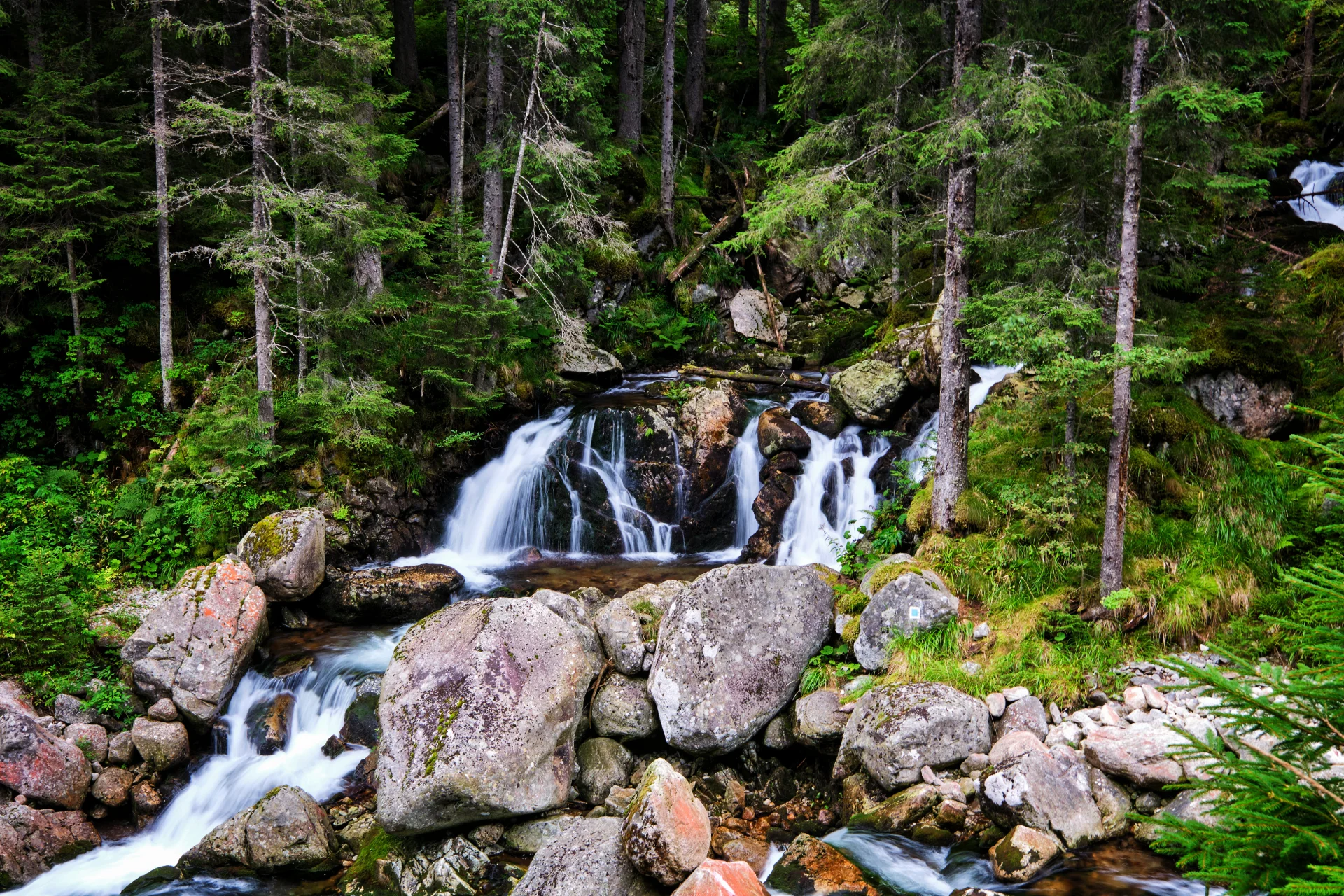 Cascade pe Valea Pietrele - Parcul National Retezat - Destinatii Romania 13