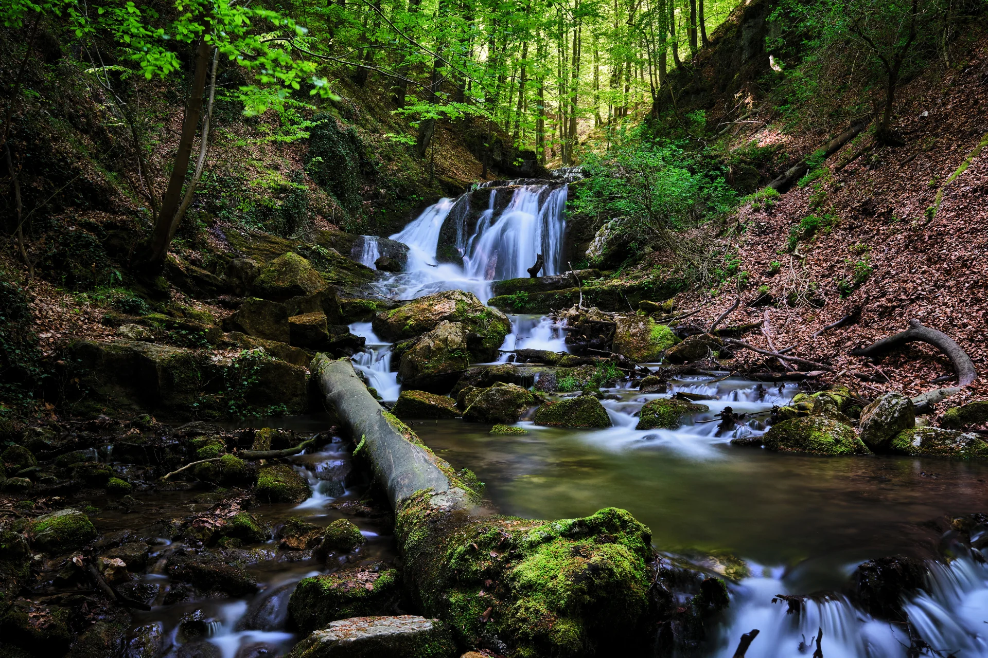 Cascadele Cioclovinei - Parcul Natural Grădiștea Muncelului - Cioclovina 14