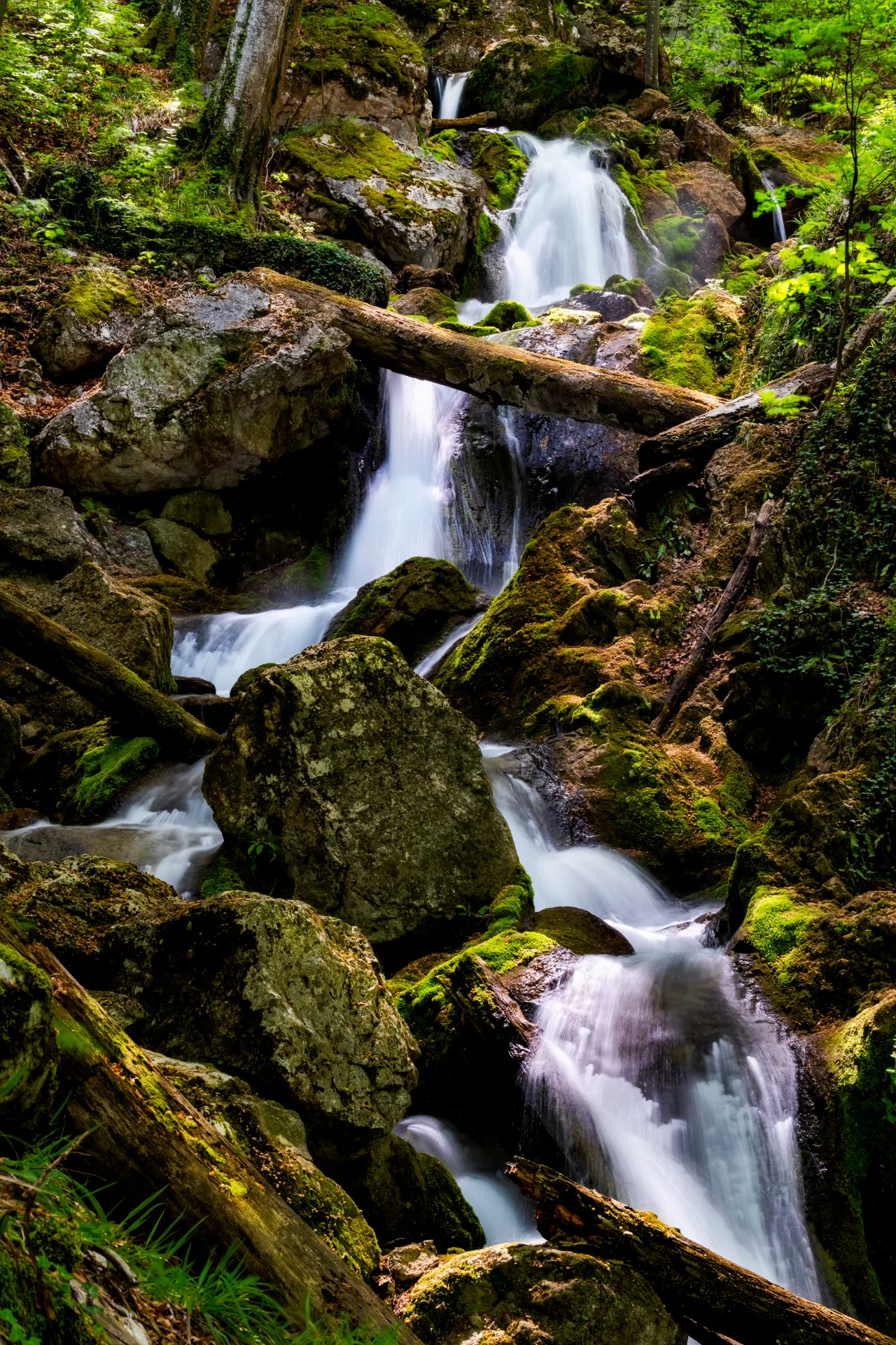 Cascadele Șipotului din Valea Streiului - Parcul Natural Grădiștea Muncelului - Cioclovina 38