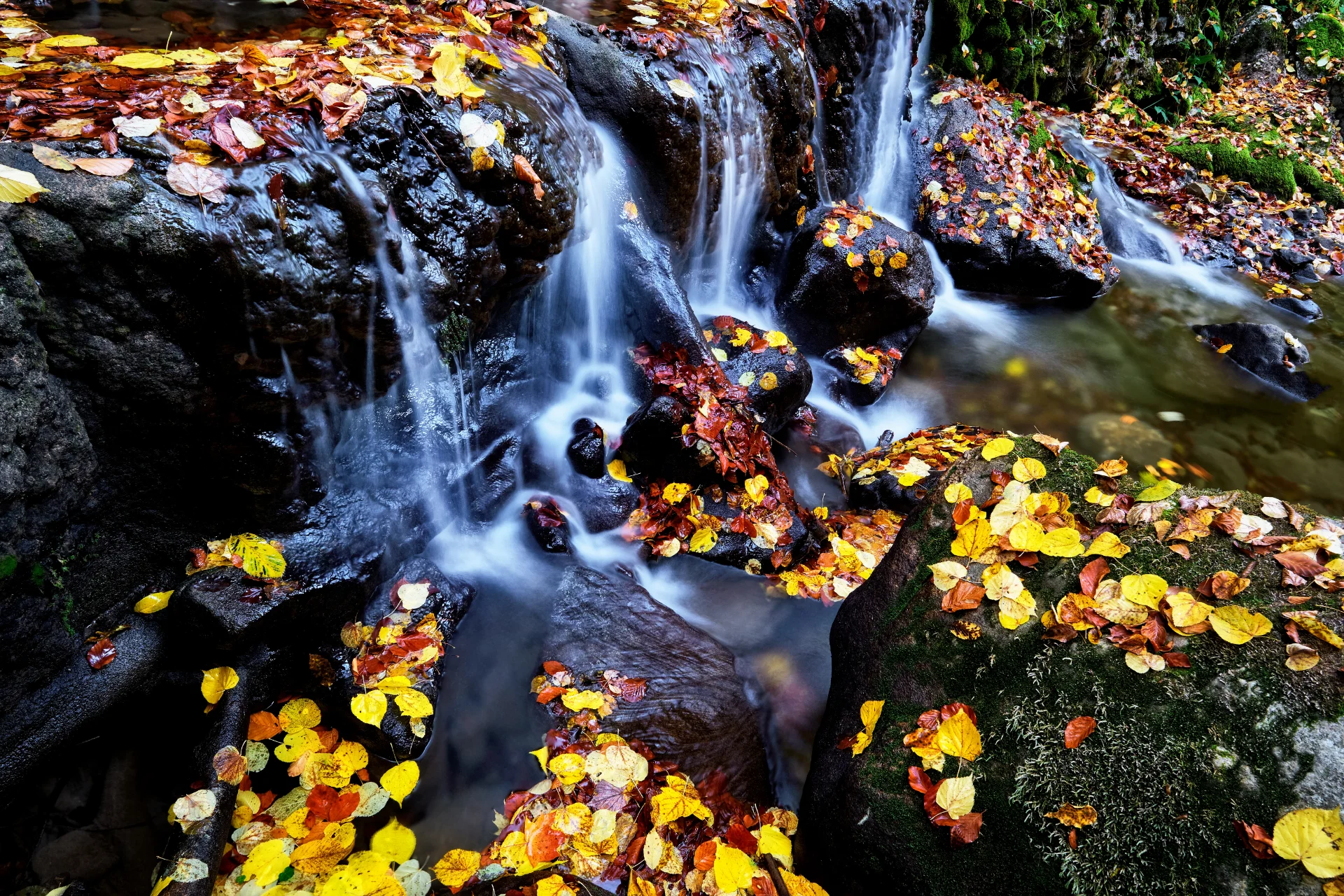 Cascadele Șipotului din Valea Streiului - Parcul Natural Grădiștea Muncelului - Cioclovina 39