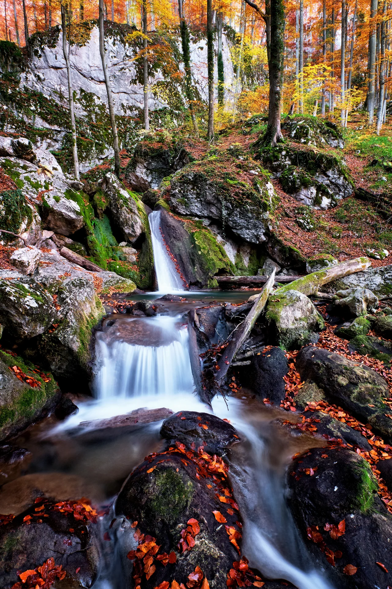 Cascadele Șipotului din Valea Streiului - Parcul Natural Grădiștea Muncelului - Cioclovina 41