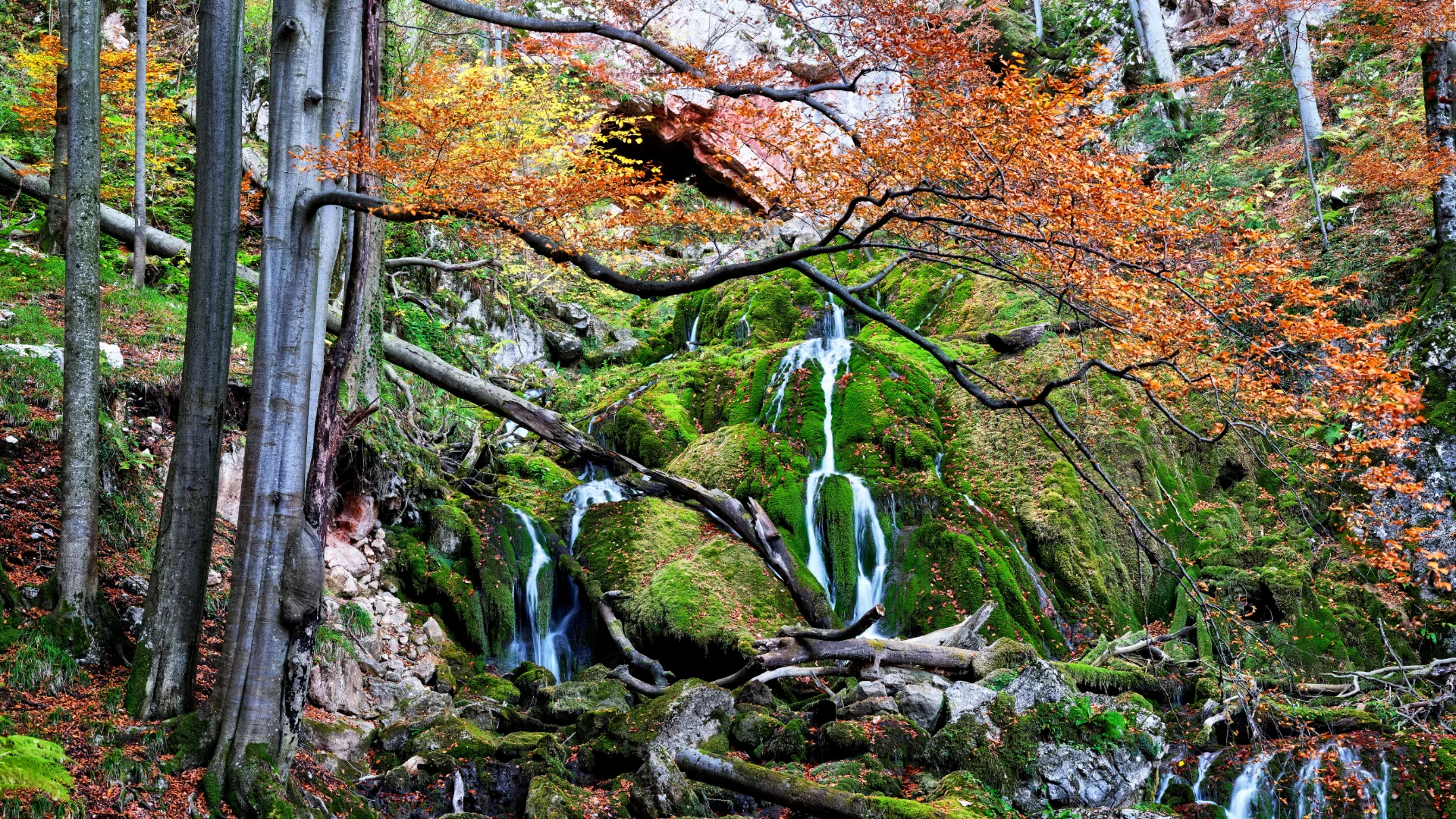 Cascadele Șipotului din Valea Streiului - Parcul Natural Grădiștea Muncelului - Cioclovina 64