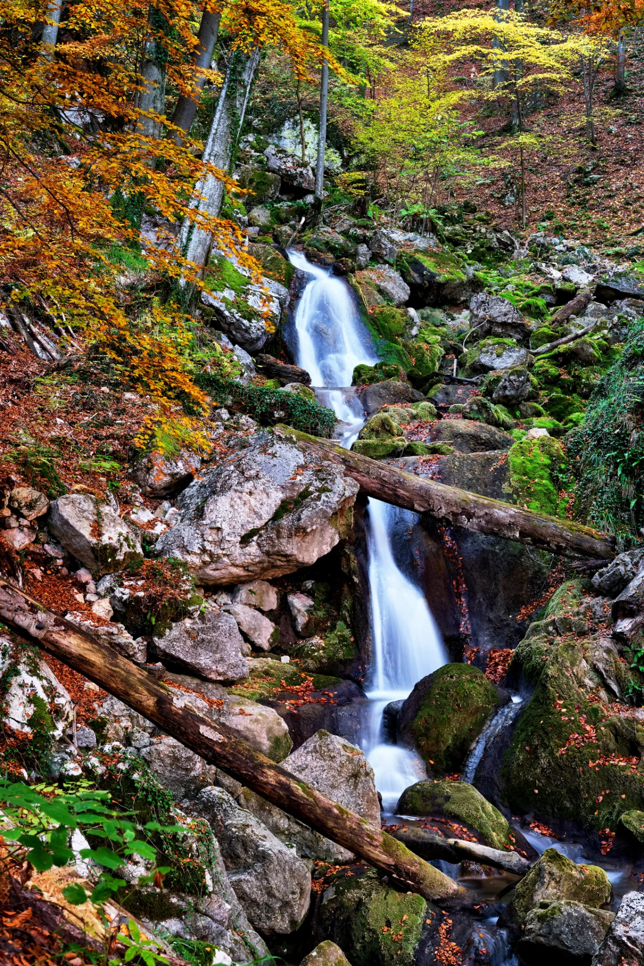 Cascadele Șipotului din Valea Streiului - Parcul Natural Grădiștea Muncelului - Cioclovina 65