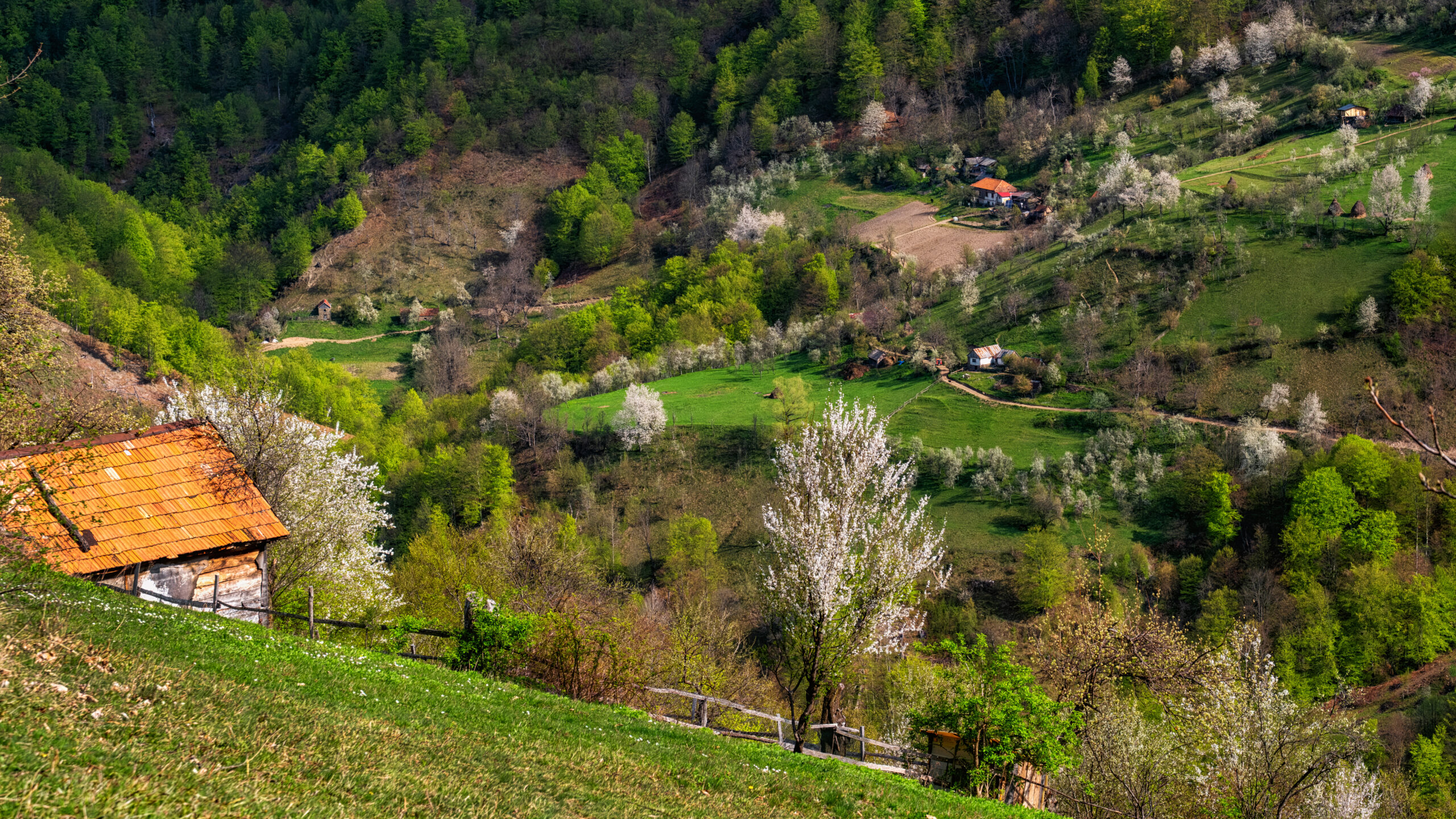 Cătunul Scărișoara - Parcul National Domogled - Valea Cernei - Destinatii Romania 109