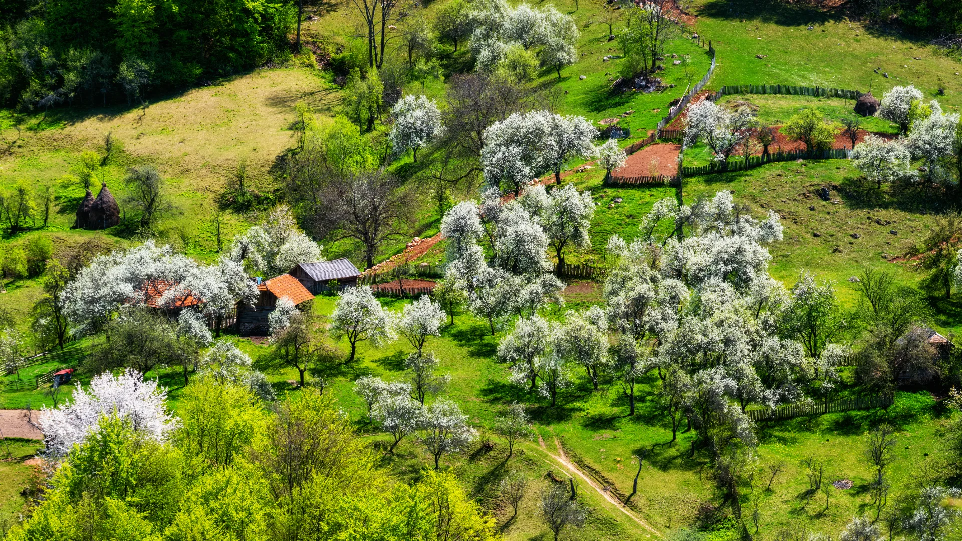 Cătunul Scărișoara - Parcul Natural Grădiștea Muncelului - Cioclovina 92