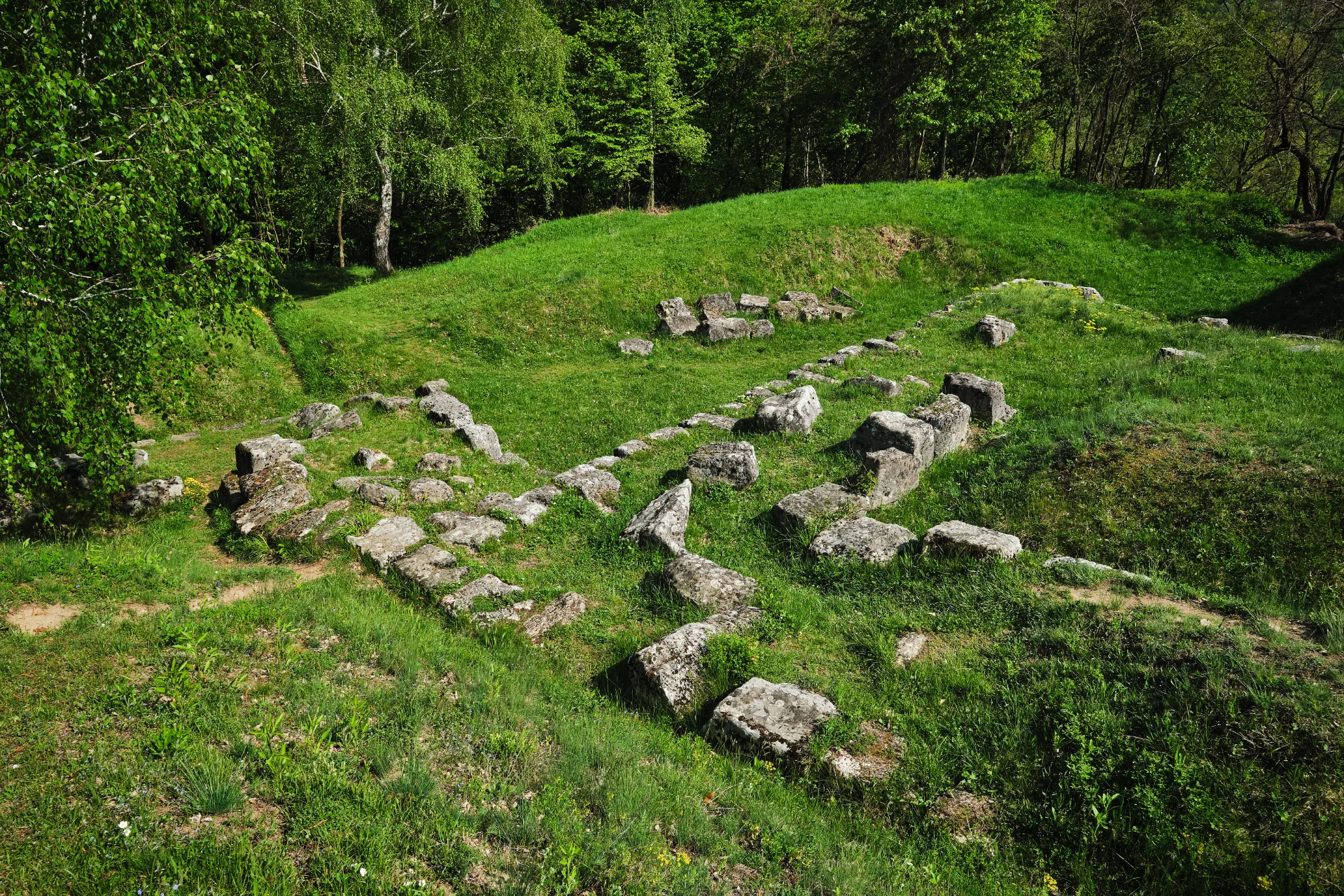 Cetatea Costești Cetățuie - Parcul Natural Grădiștea Muncelului - Cioclovina 25