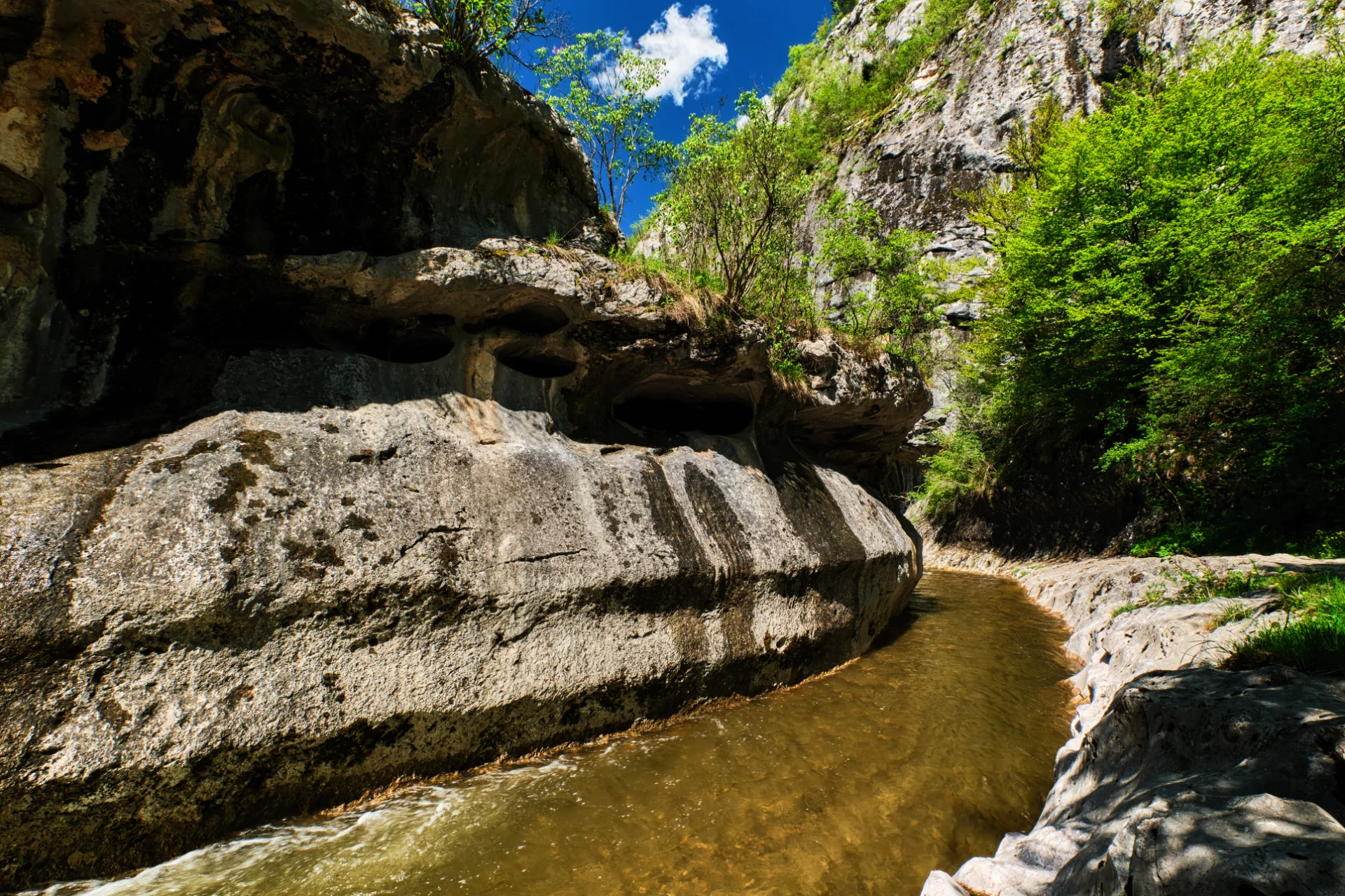 Cheile Băniței - Parcul Natural Grădiștea Muncelului - Cioclovina 81