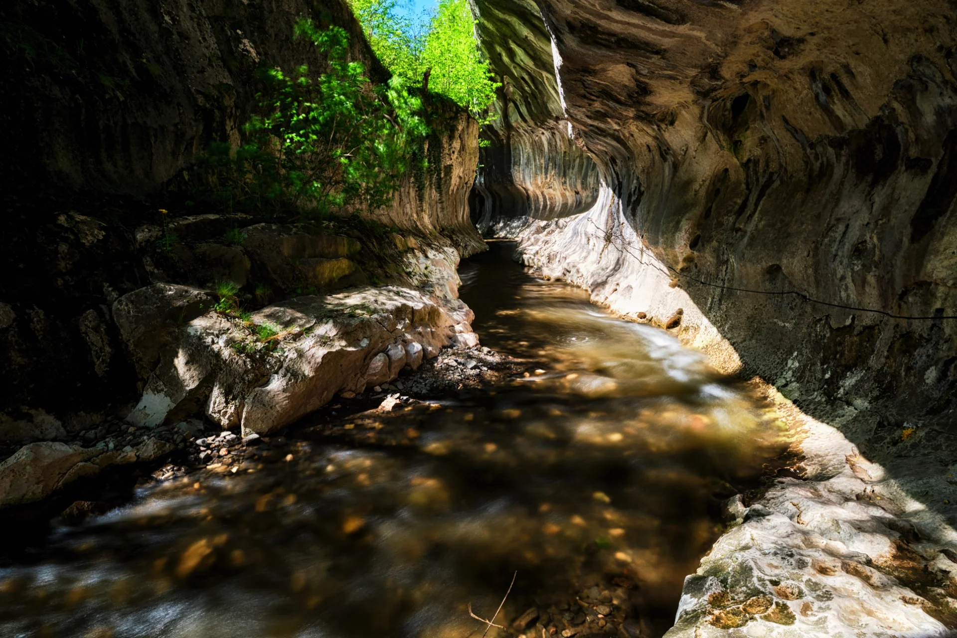 Cheile Băniței - Parcul Natural Grădiștea Muncelului - Cioclovina 82