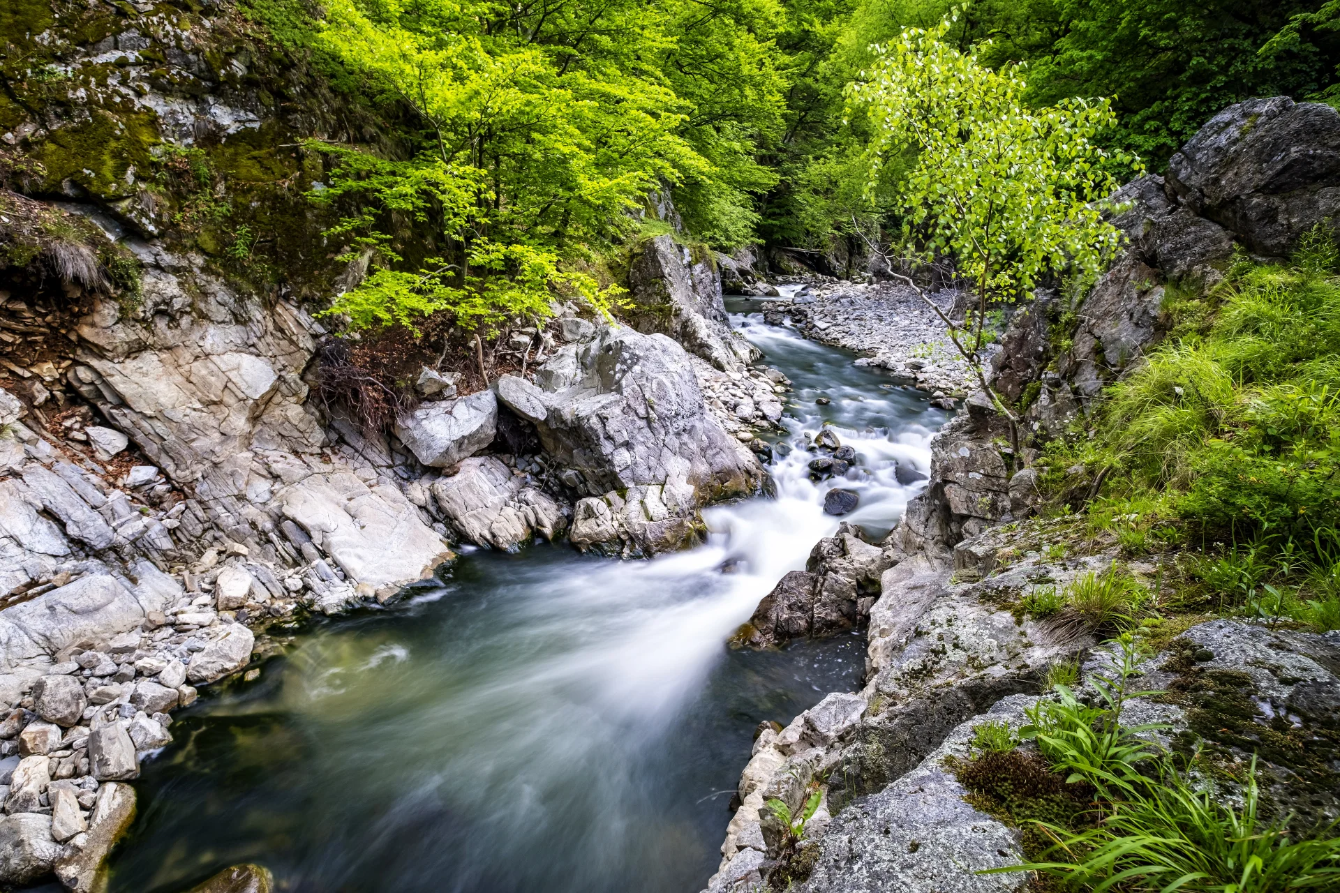 Cheile Bistriței Gorjene - Târgu Jiu Județul Gorj 090