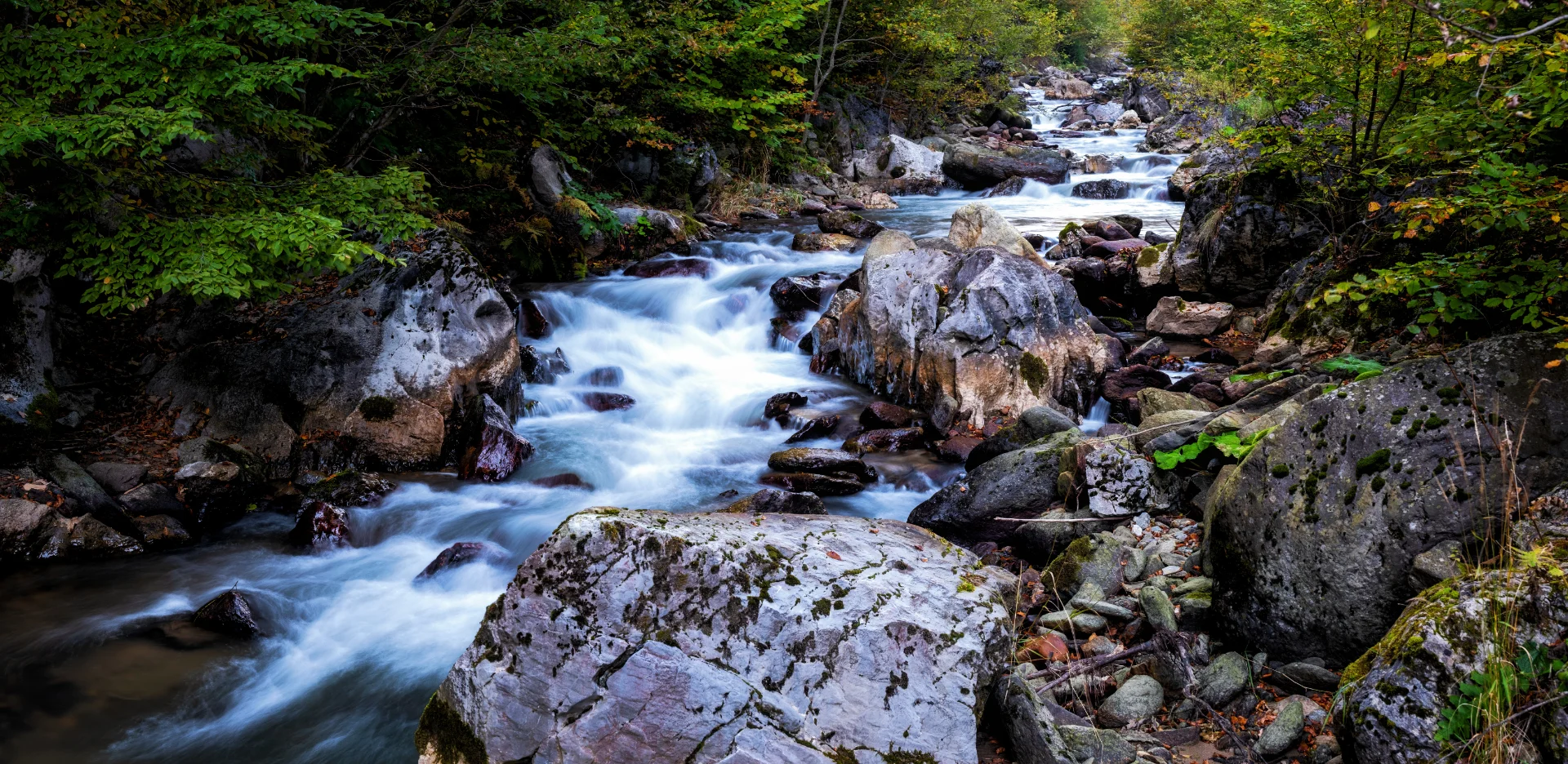 Cheile Cernișoara - Parcul National Domogled - Valea Cernei - Destinatii Romania 049