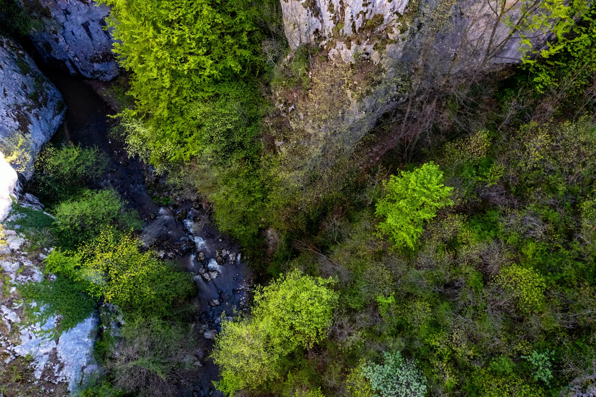 Cheile Crivadia - Parcul Natural Grădiștea Muncelului - Cioclovina 52