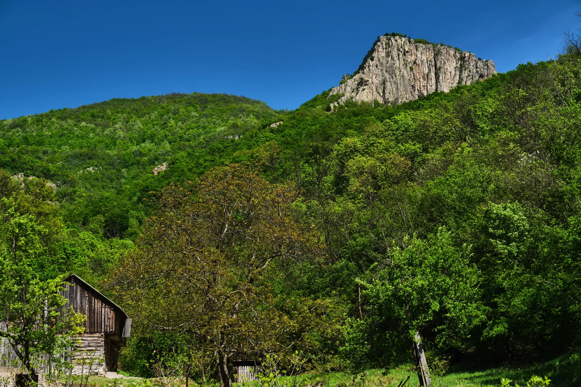 Culmea Trescovăț - Parcul Natural Portile de Fier - Destinatii Romania 74