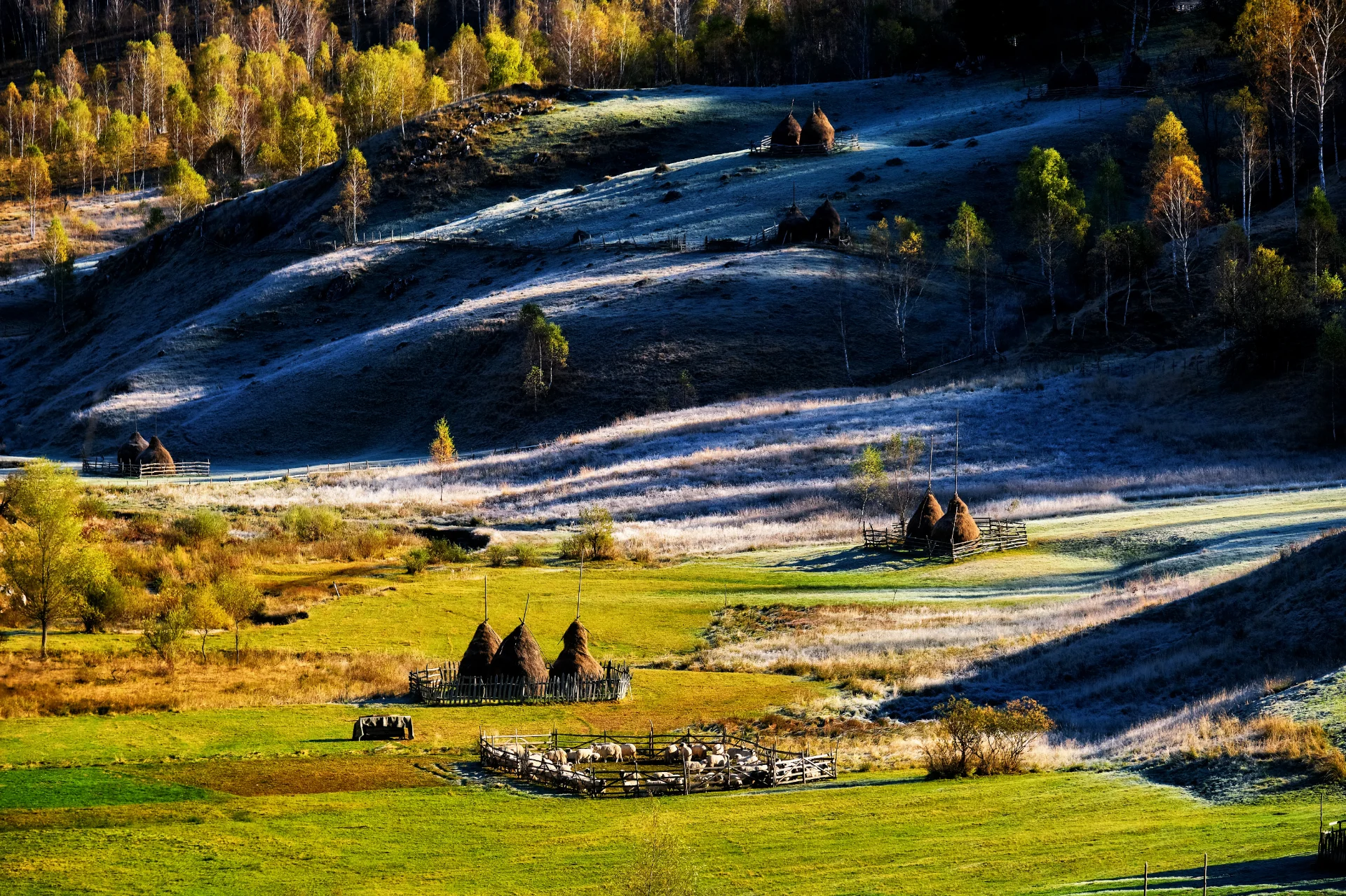 Fundătura Ponorului - Parcul Natural Grădiștea Muncelului - Cioclovina 07