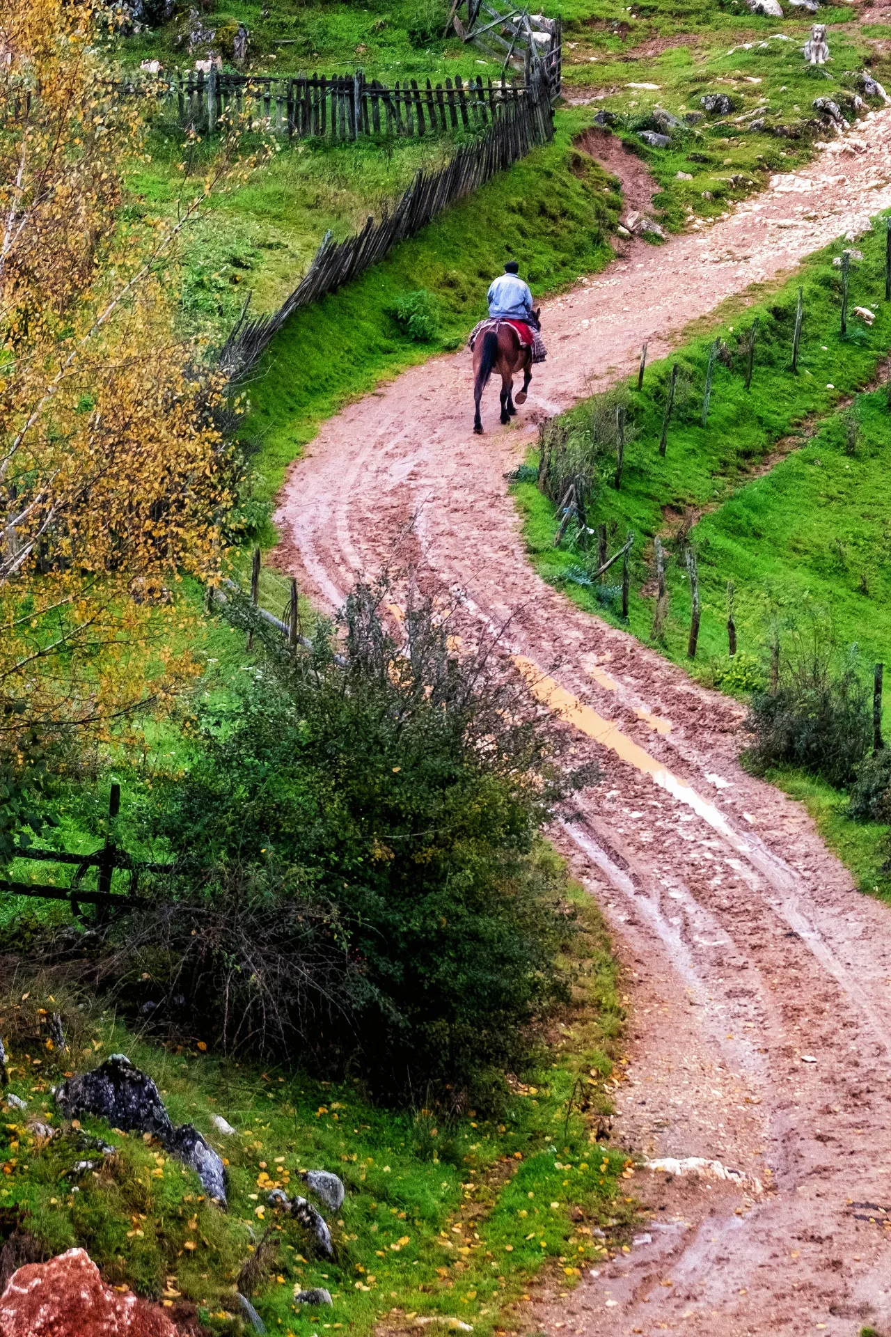 Fundătura Ponorului - Parcul Natural Grădiștea Muncelului - Cioclovina 47