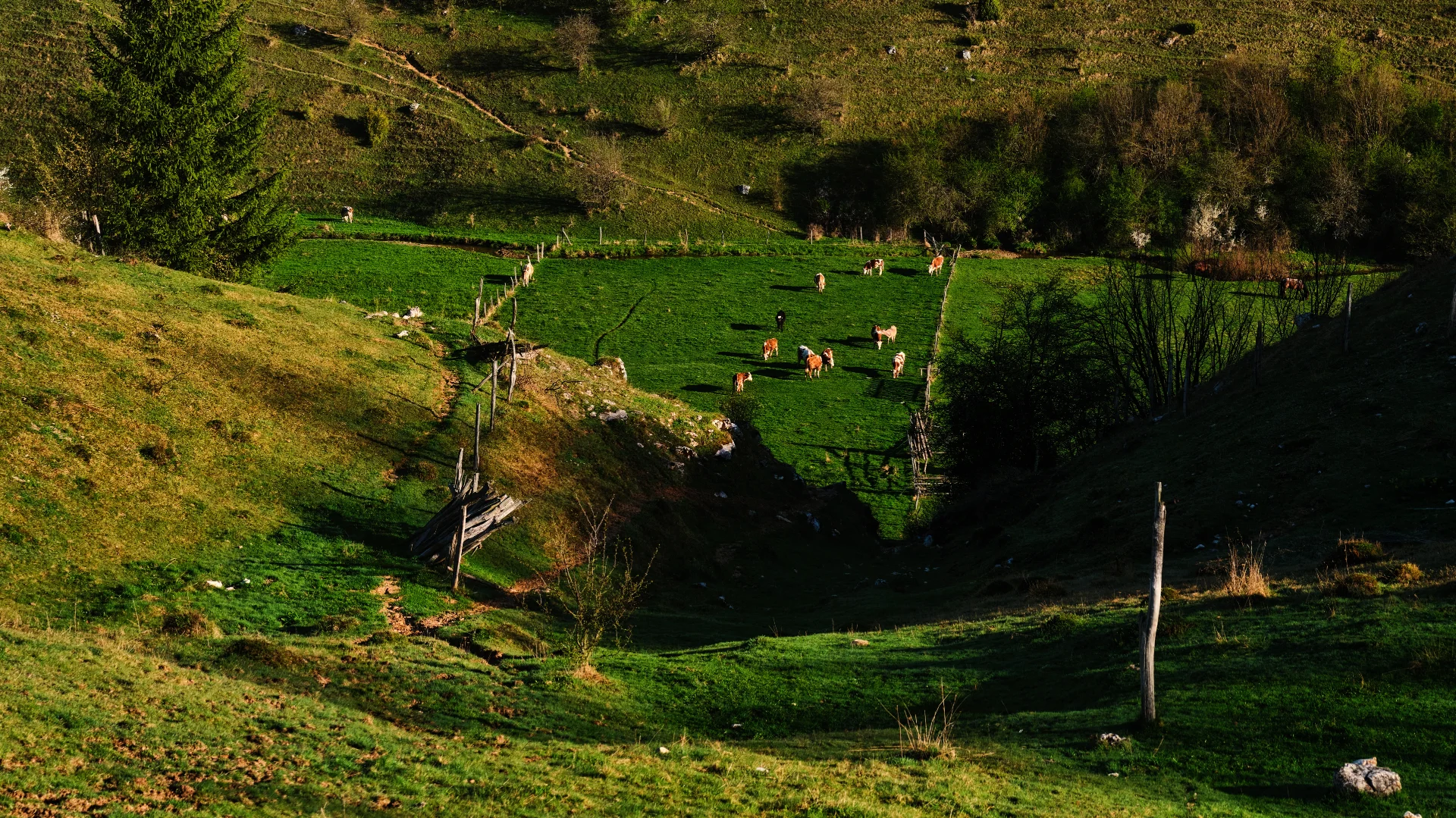 Fundătura Ponorului - Parcul Natural Grădiștea Muncelului - Cioclovina 69