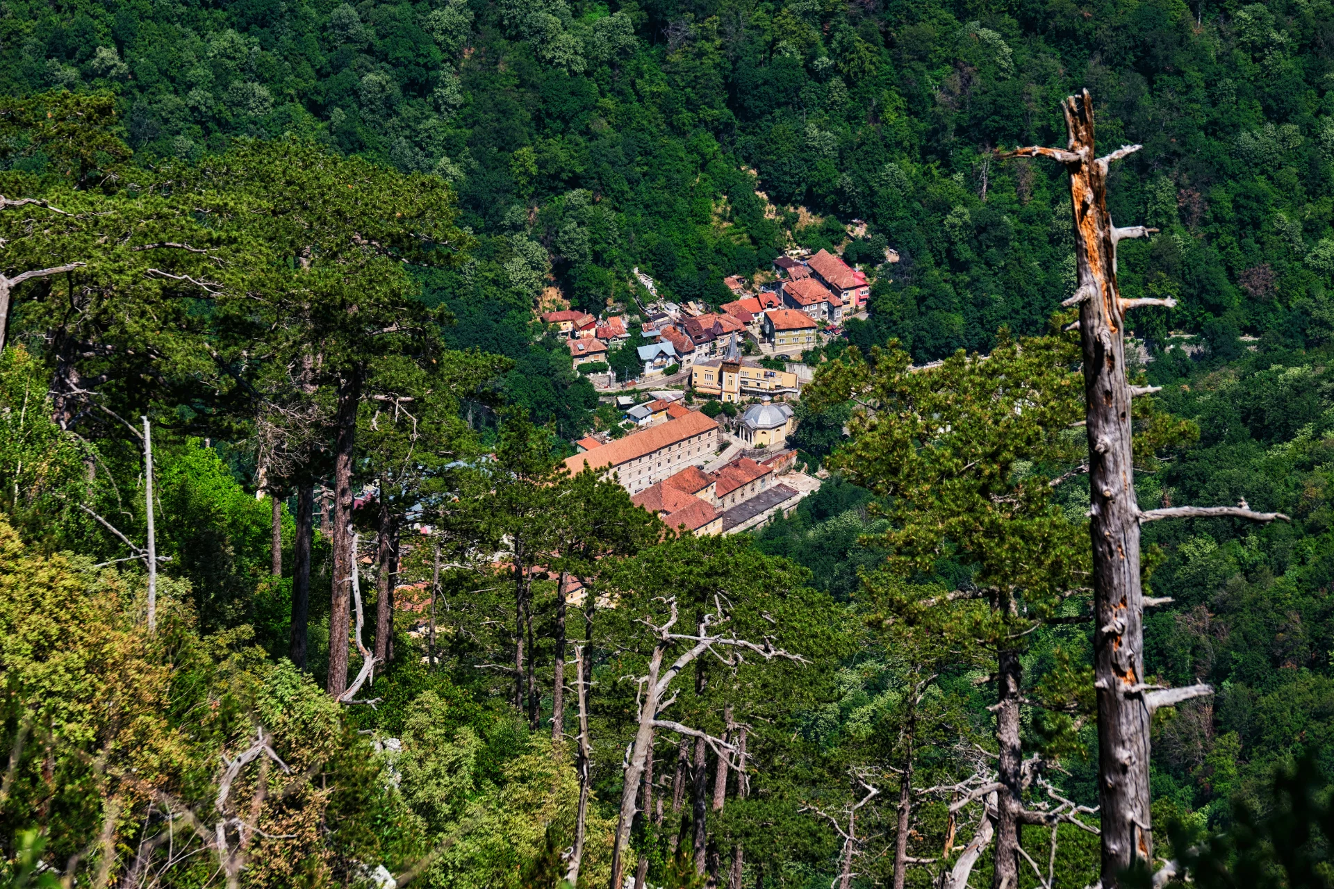Herculane de pe Masivul Domogled - Statiunea Baile Herculane - Destinatii Romania 44