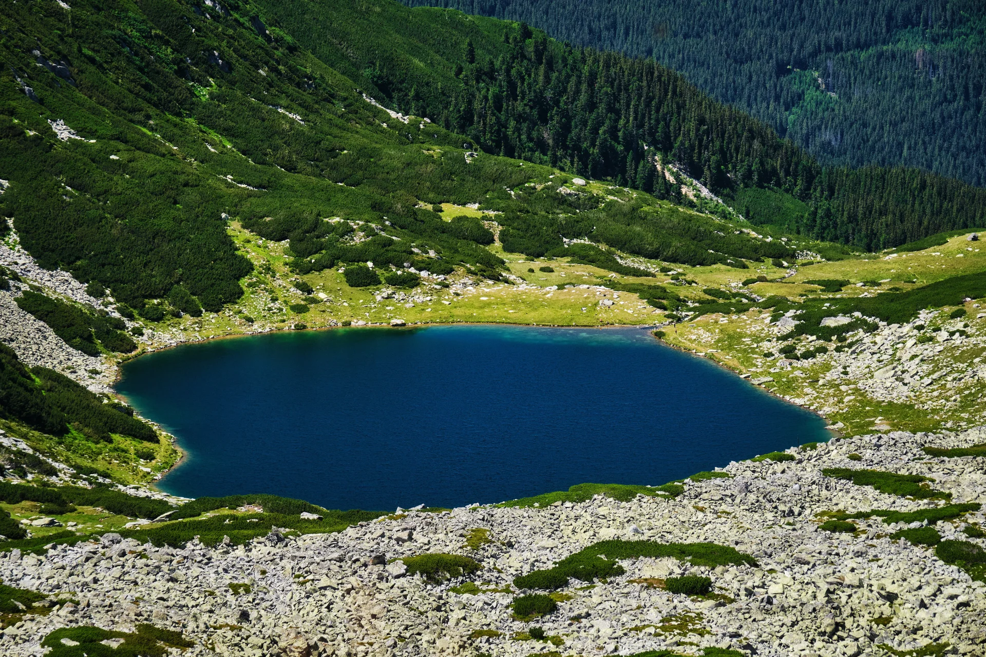 Lacul Galeșu - Parcul National Retezat - Destinatii Romania 75