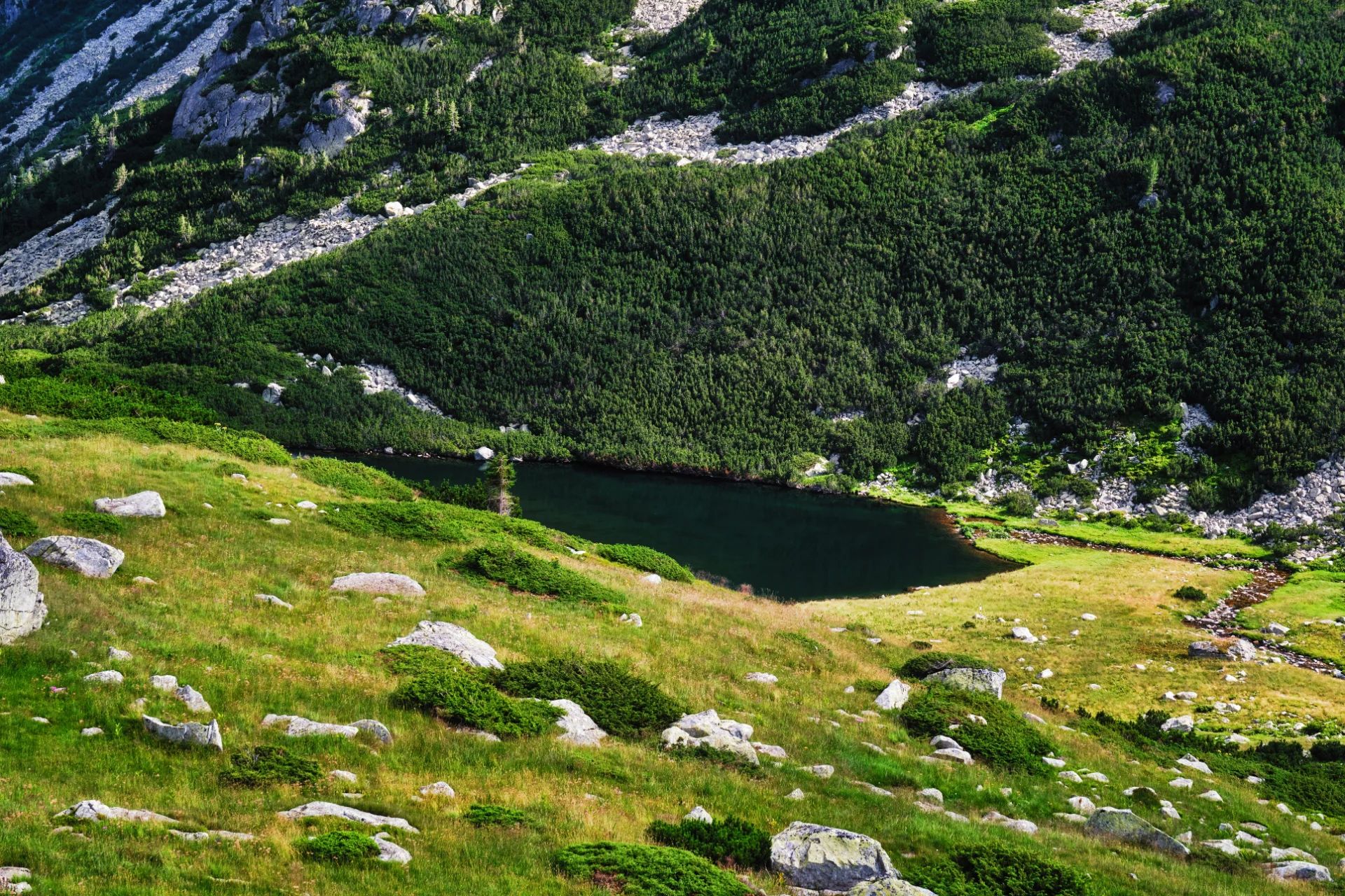Lacul Lia - Parcul National Retezat - Destinatii Romania 20