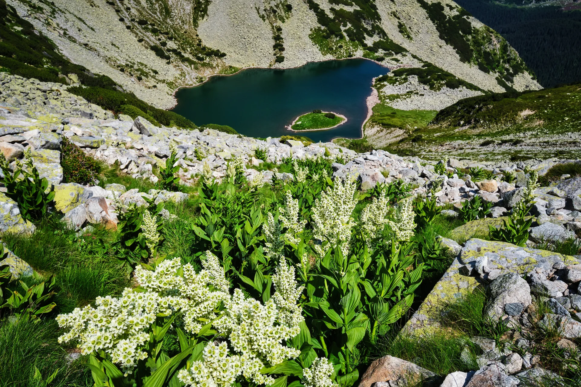 Lacul Tăul Țapului - Parcul National Retezat - Destinatii Romania 77