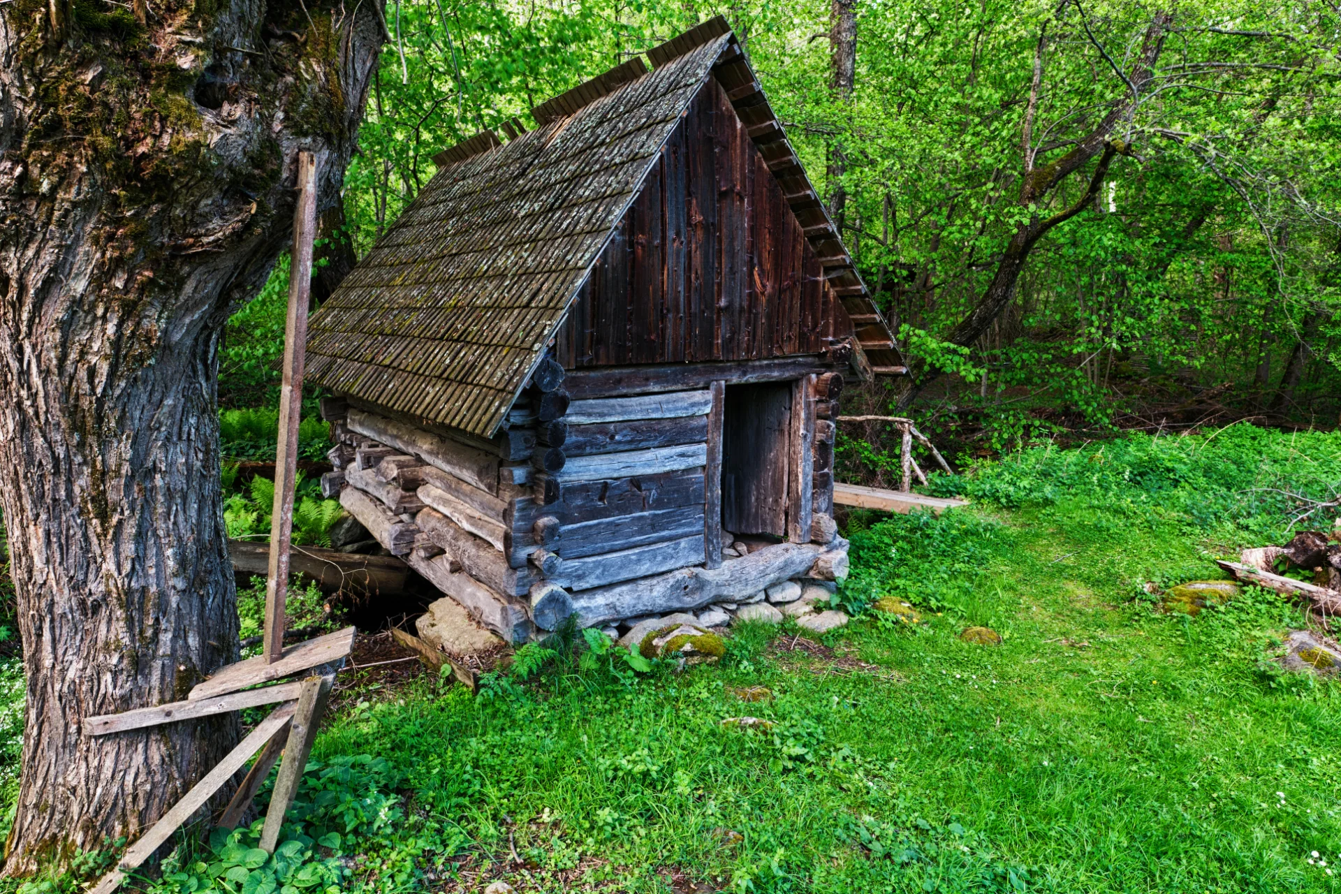 Moară în Satul Peștera - Tara Hategului - Destinatii Romania 68