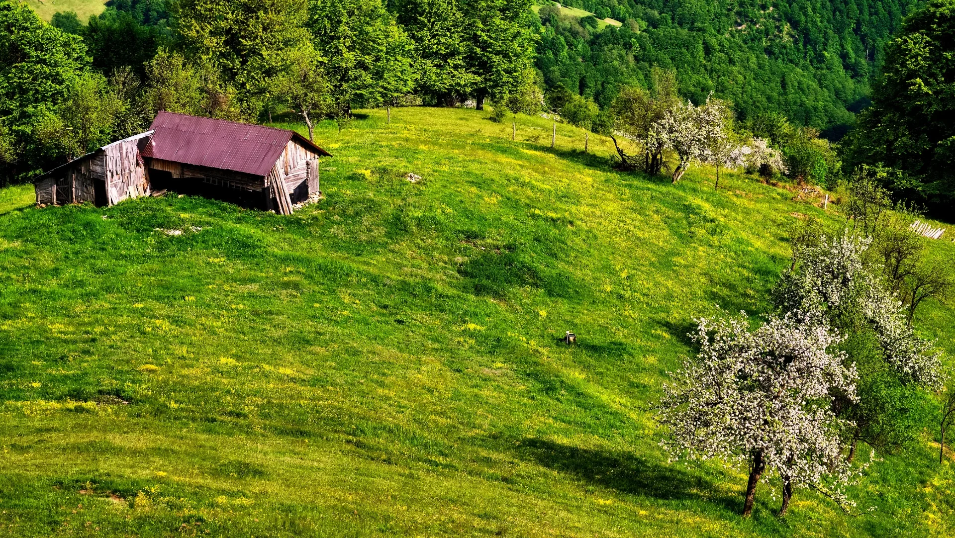Munții Mehedinți - Parcul National Domogled - Valea Cernei - Destinatii Romania 040