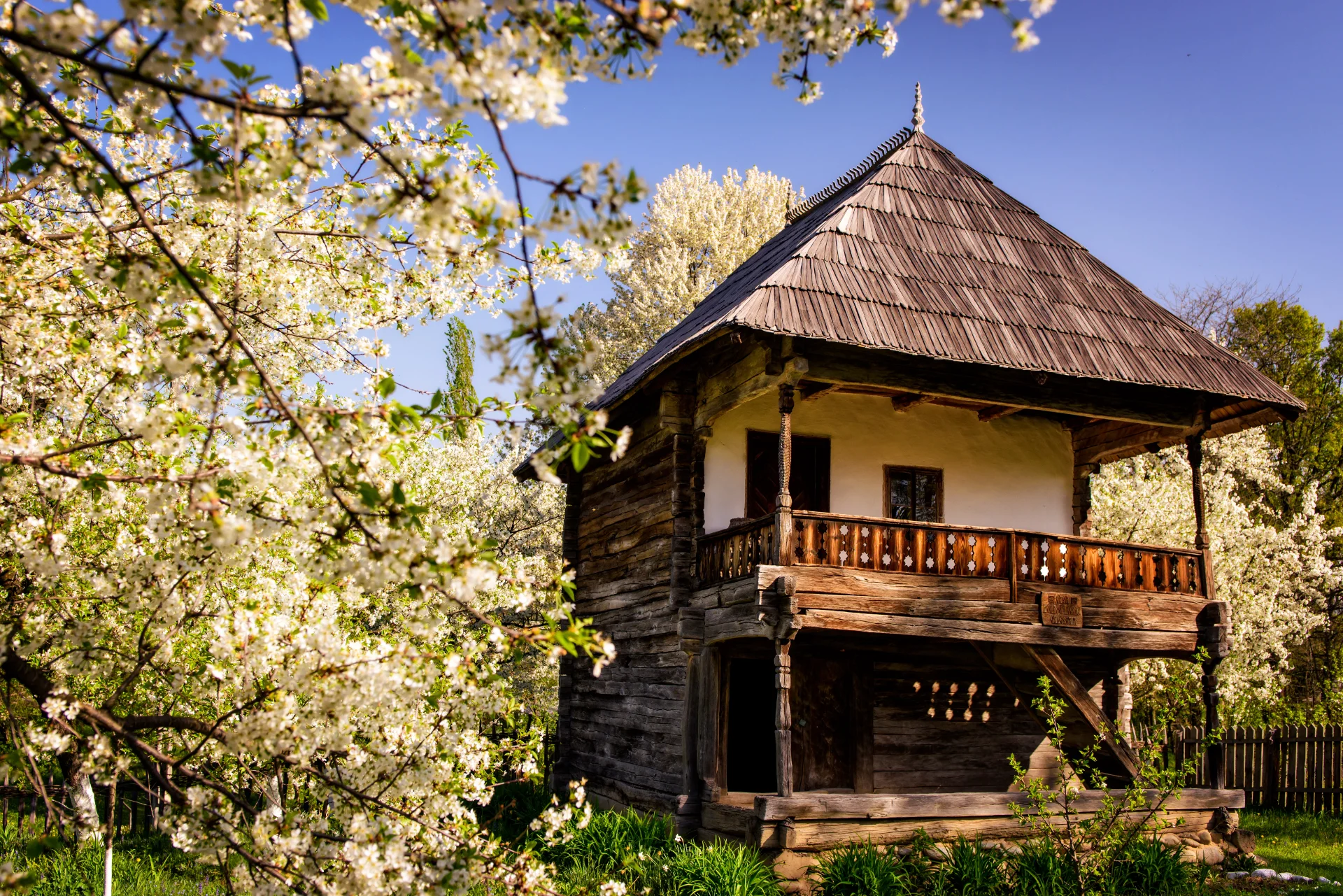 Muzeul Satului Curtișoara - Târgu Jiu Județul Gorj 118