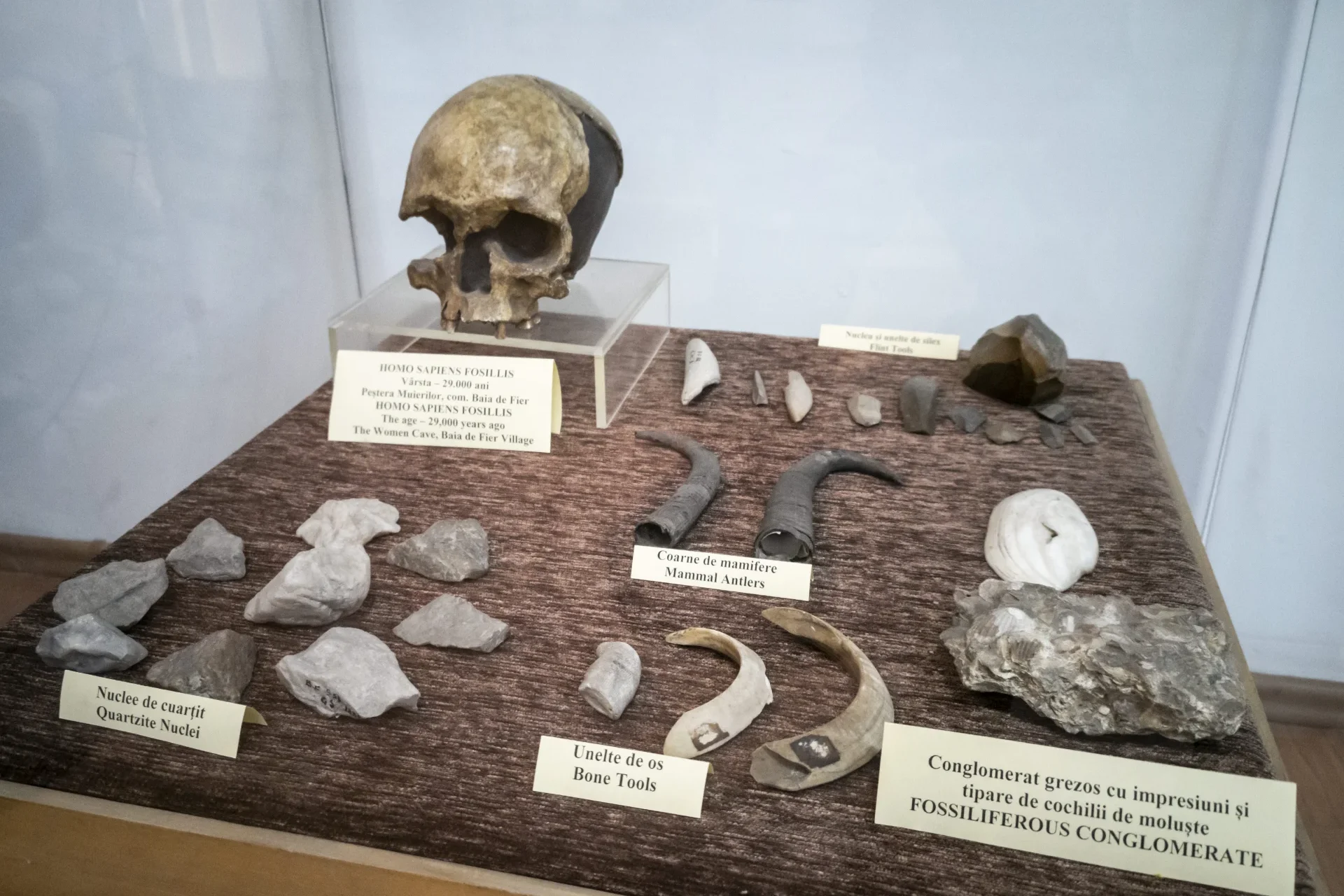 Muzeul de Istorie - Târgu Jiu Județul Gorj 152