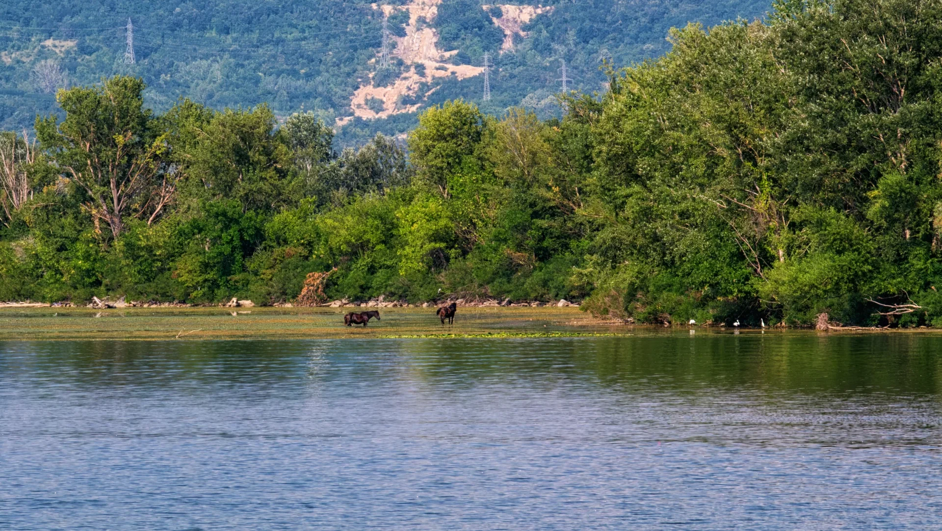 Ostrovul Moldova Veche - Parcul Natural Portile de Fier - Defileul Dunarii 11
