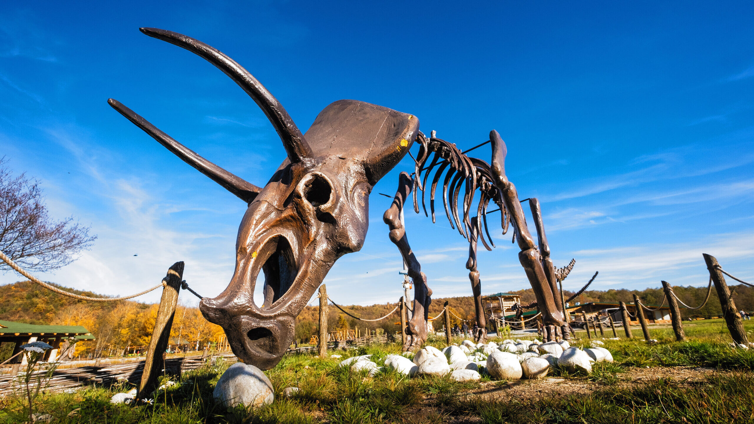Parcul Dinosaur World - Tara Hategului - Destinatii Romania 81