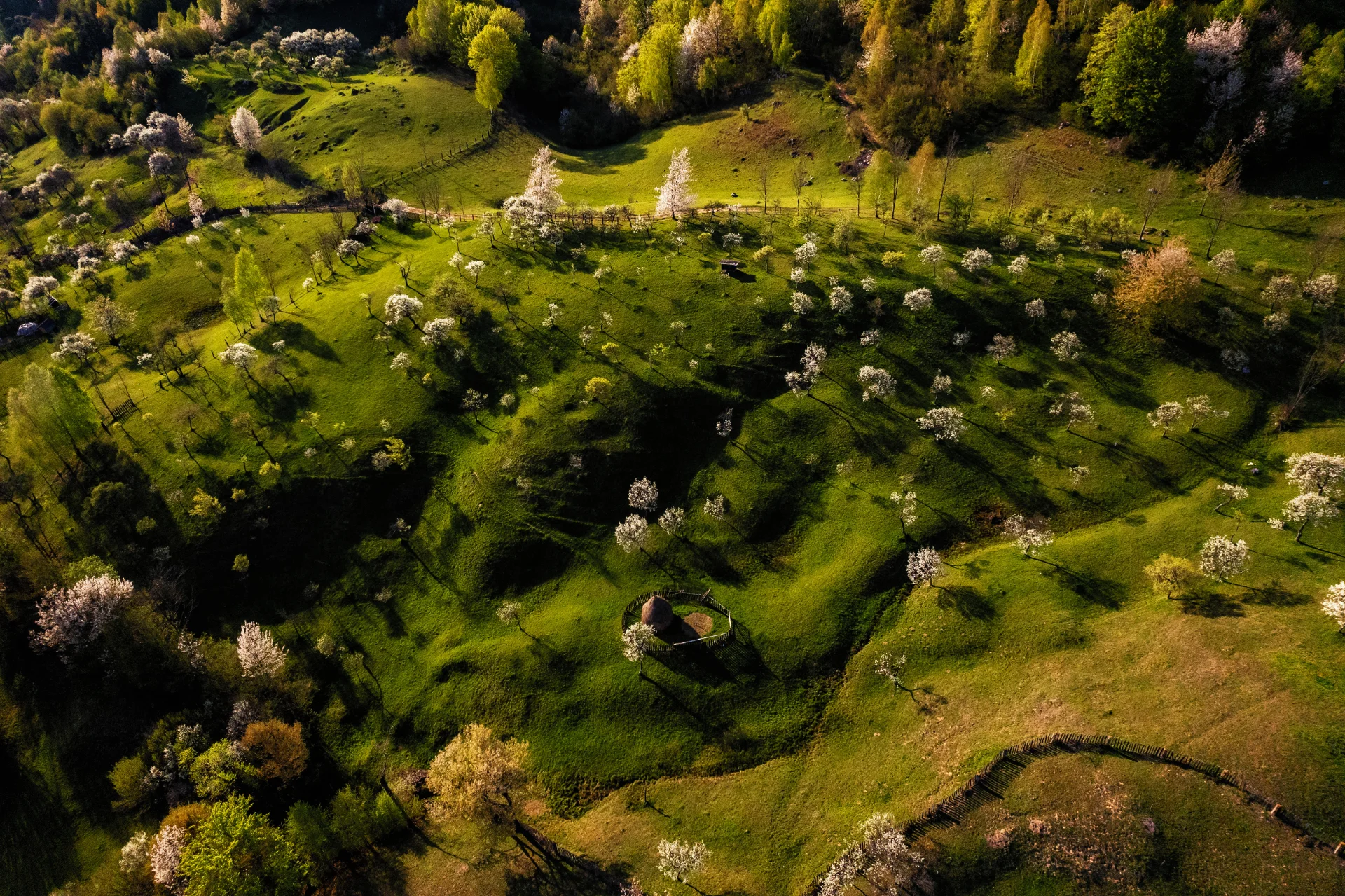 Pasul Merișor - Parcul Natural Grădiștea Muncelului - Cioclovina 56