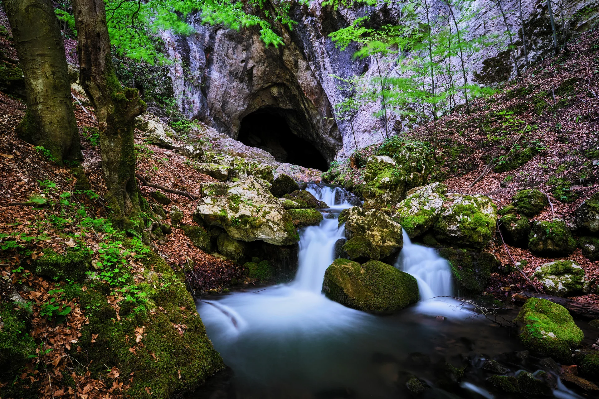 Peștera Cioclovina cu Apă - Parcul Natural Grădiștea Muncelului - Cioclovina 15