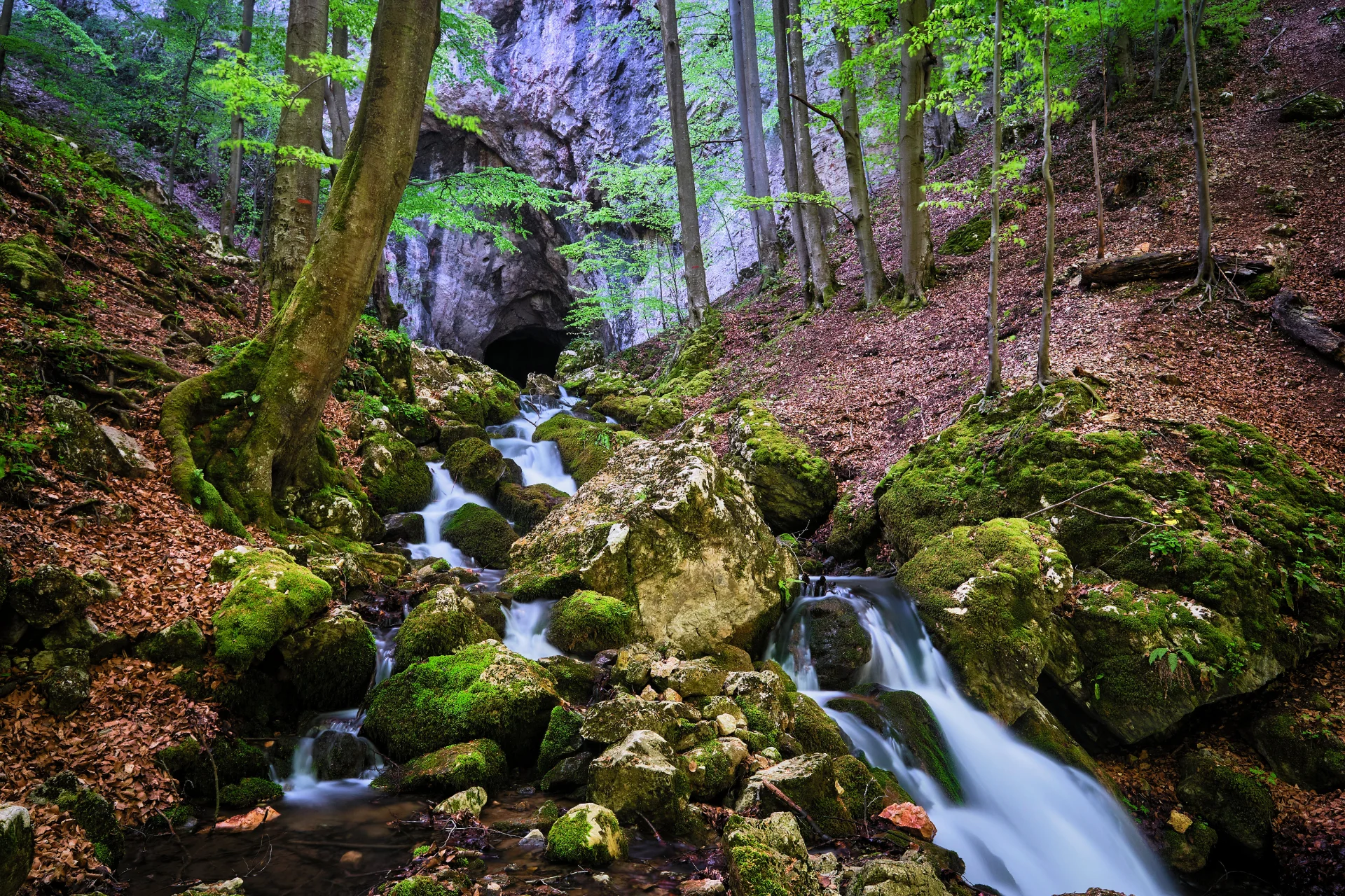 Peștera Cioclovina cu Apă - Parcul Natural Grădiștea Muncelului - Cioclovina 16