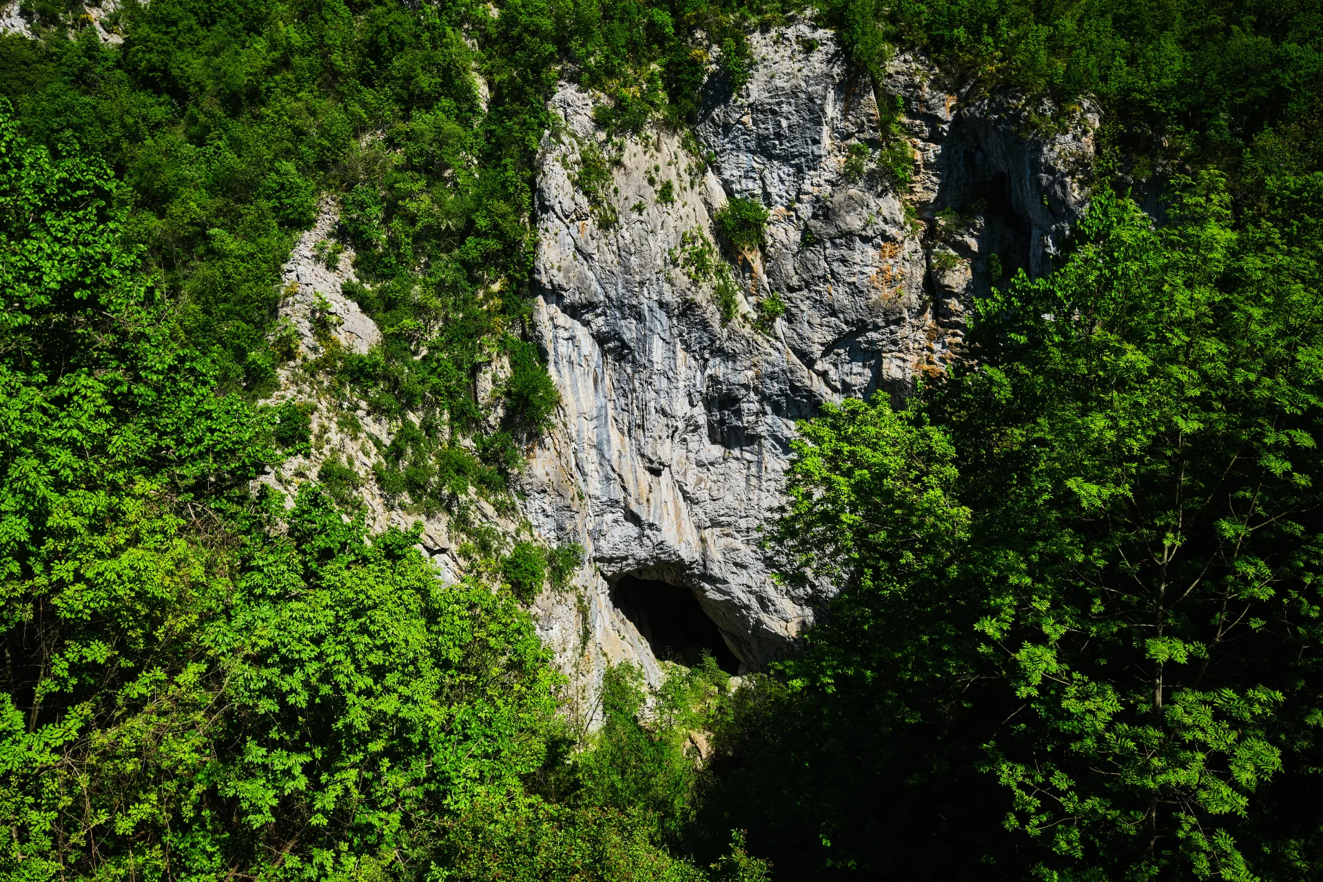Peștera Ponicova - Parcul Natural Portile de Fier - Destinatii Romania 76