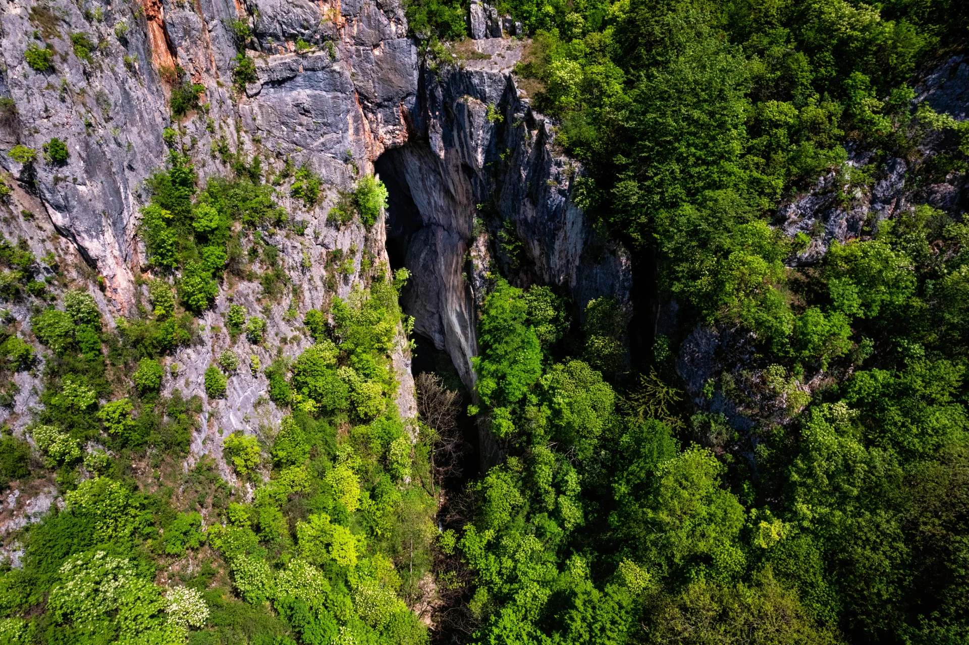 Peștera Șura Mare - Parcul Natural Grădiștea Muncelului - Cioclovina 63