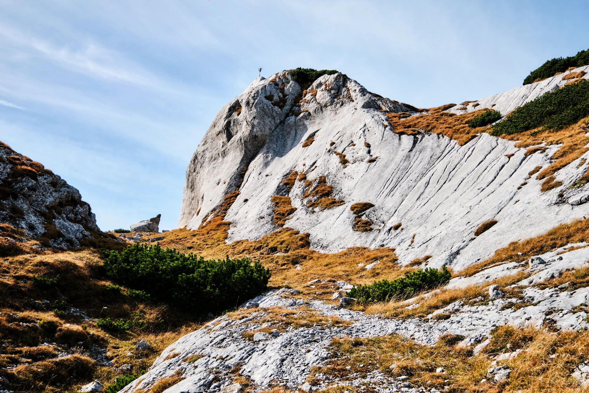 Piatra Iorgovanului - Parcul National Retezat - Destinatii Romania 16 (1)