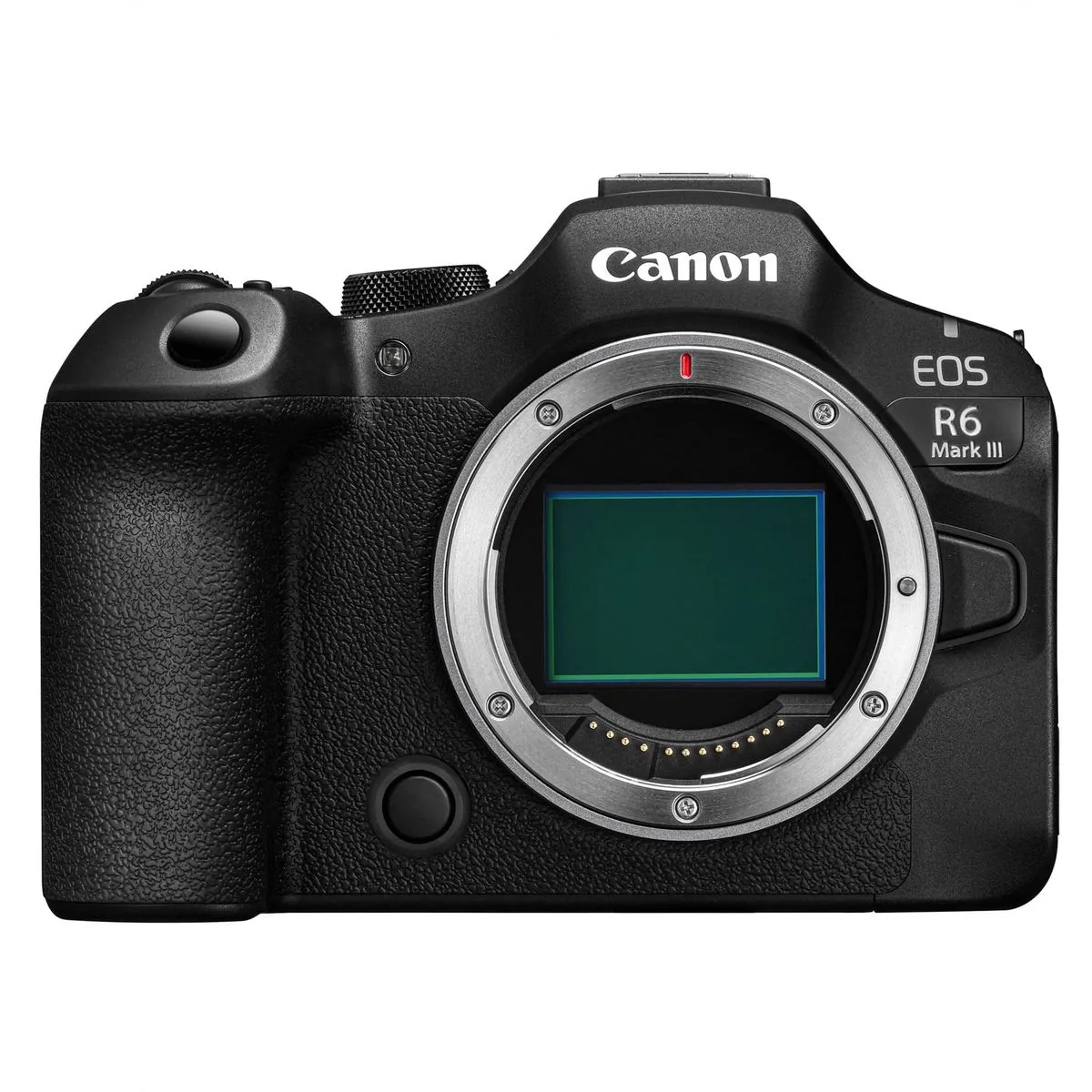 Recomandari Echipament Incepatori pentru Fotografia de Nunta - Canon EOS R6 Mark III