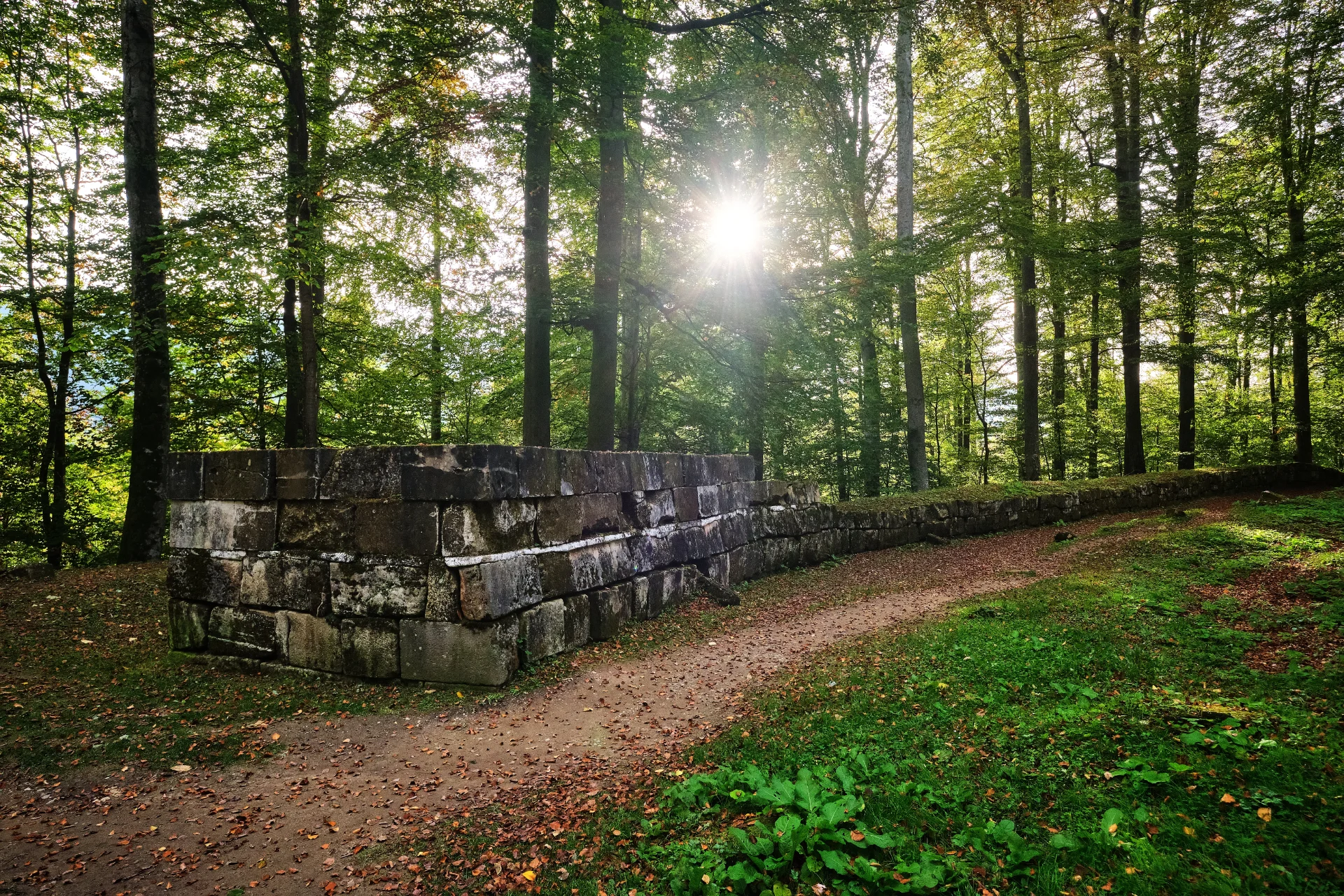 Sarmizegetusa Regia - Parcul Natural Grădiștea Muncelului - Cioclovina 28